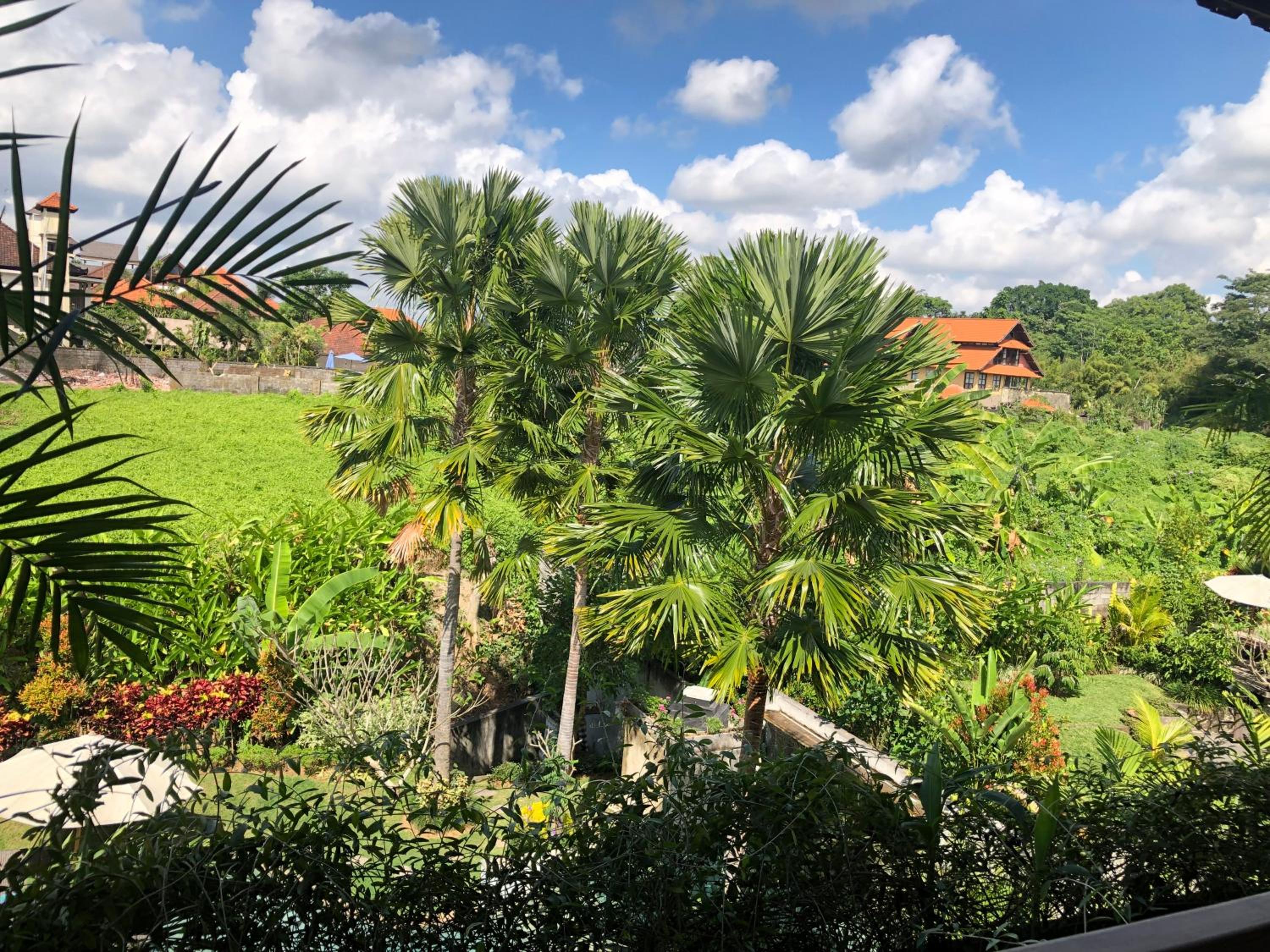 Betutu Bali Villas