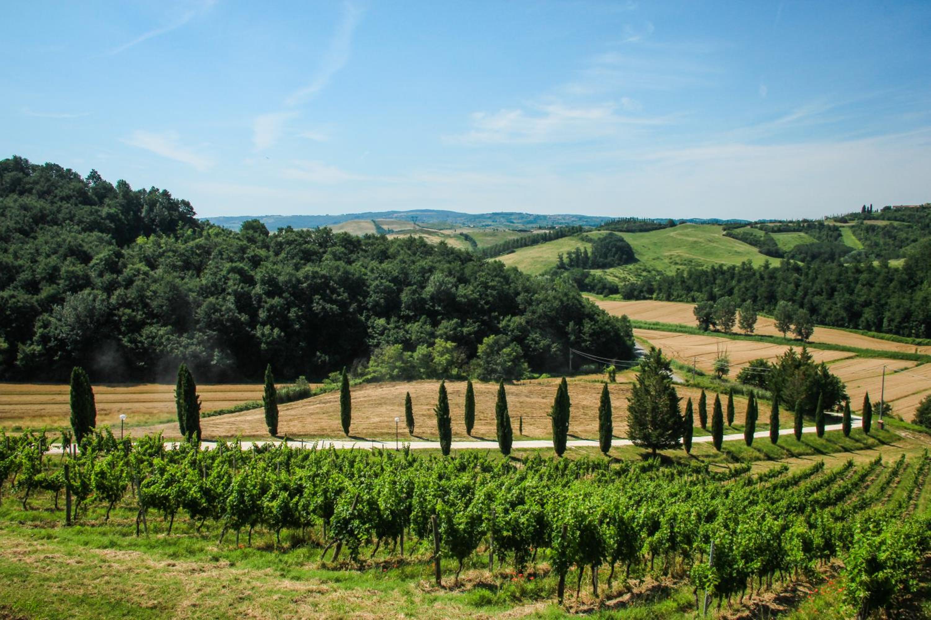 Colle Bertini