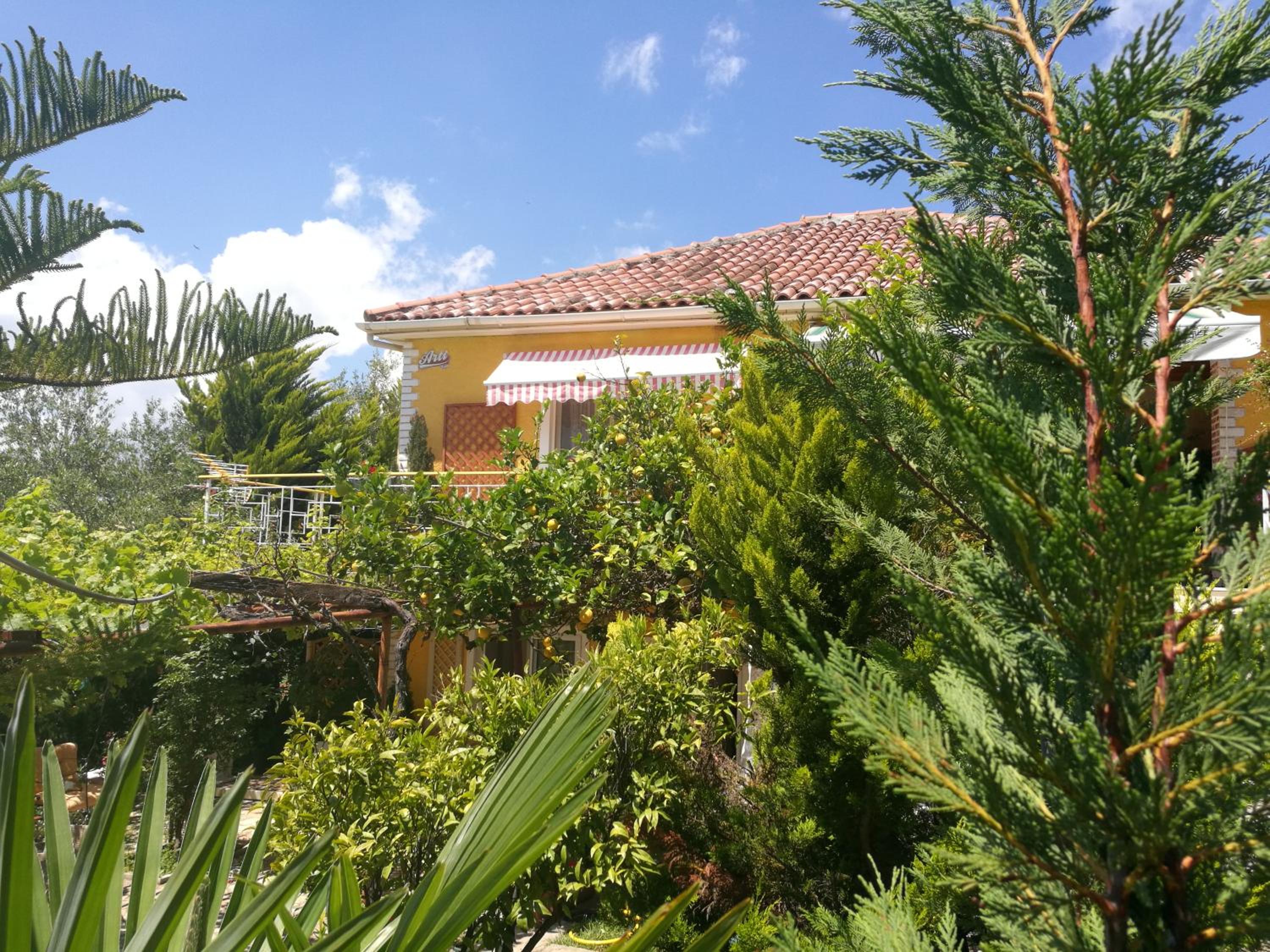 Arti Vila