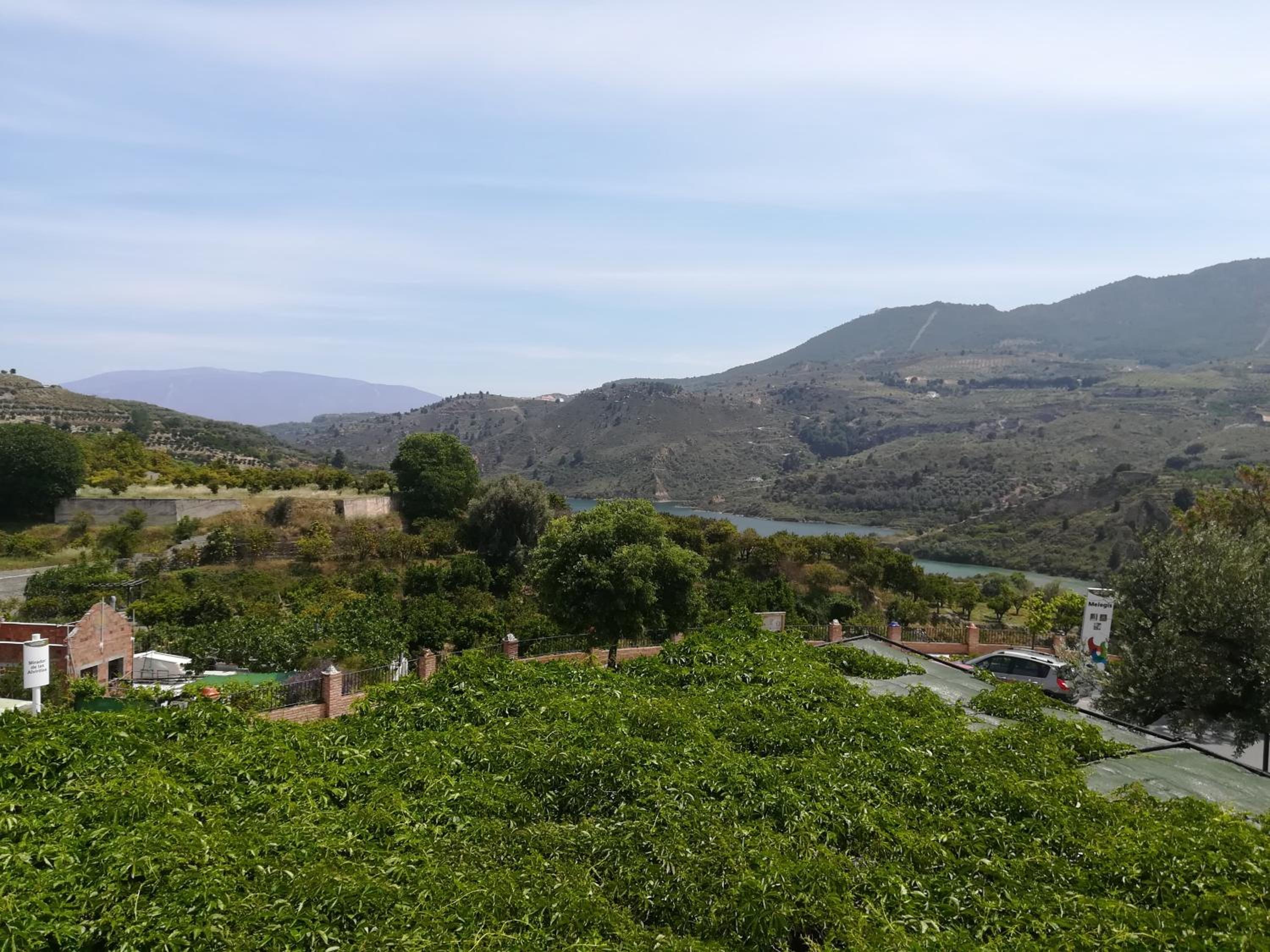 Hostal y Apartamento Rural Los Naranjos