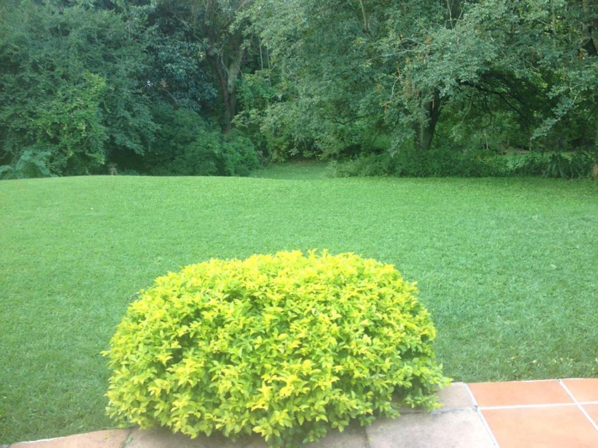 Emfuleni Bed and Breakfast view 5
