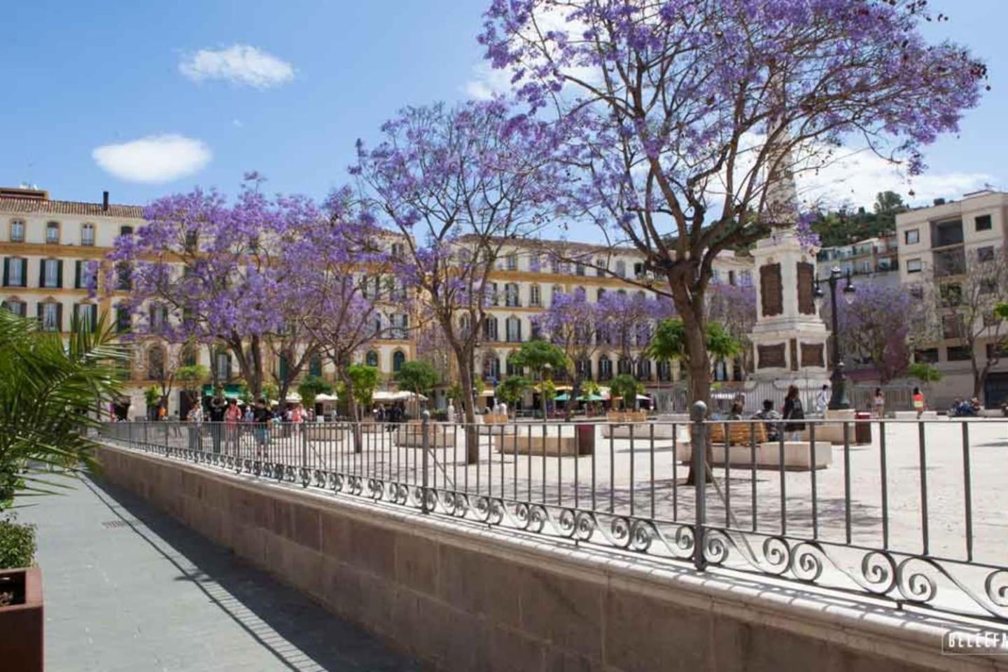 Perla Lagunillas Málaga
