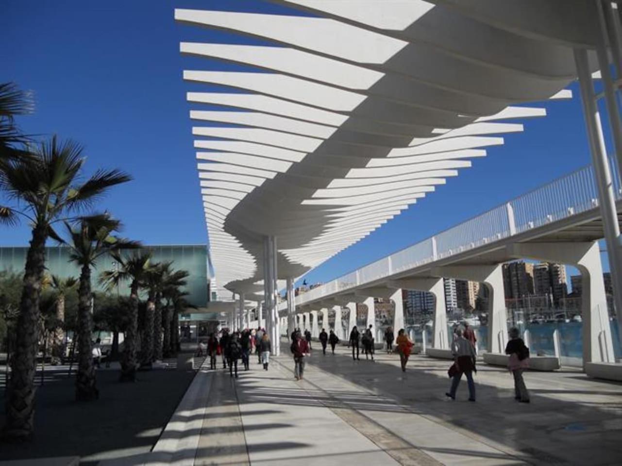 Perla Lagunillas Málaga