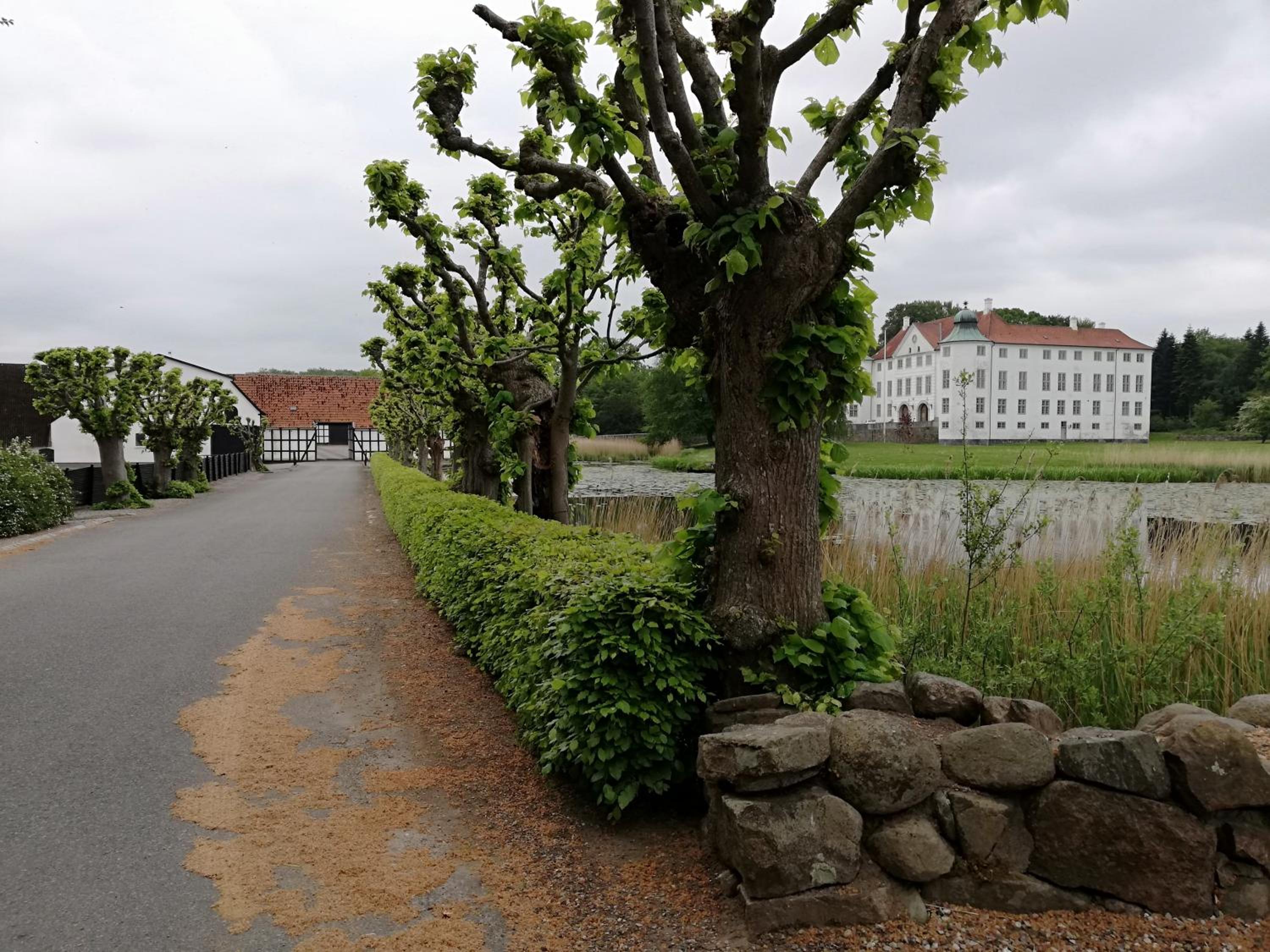 Baekgaarden B&B