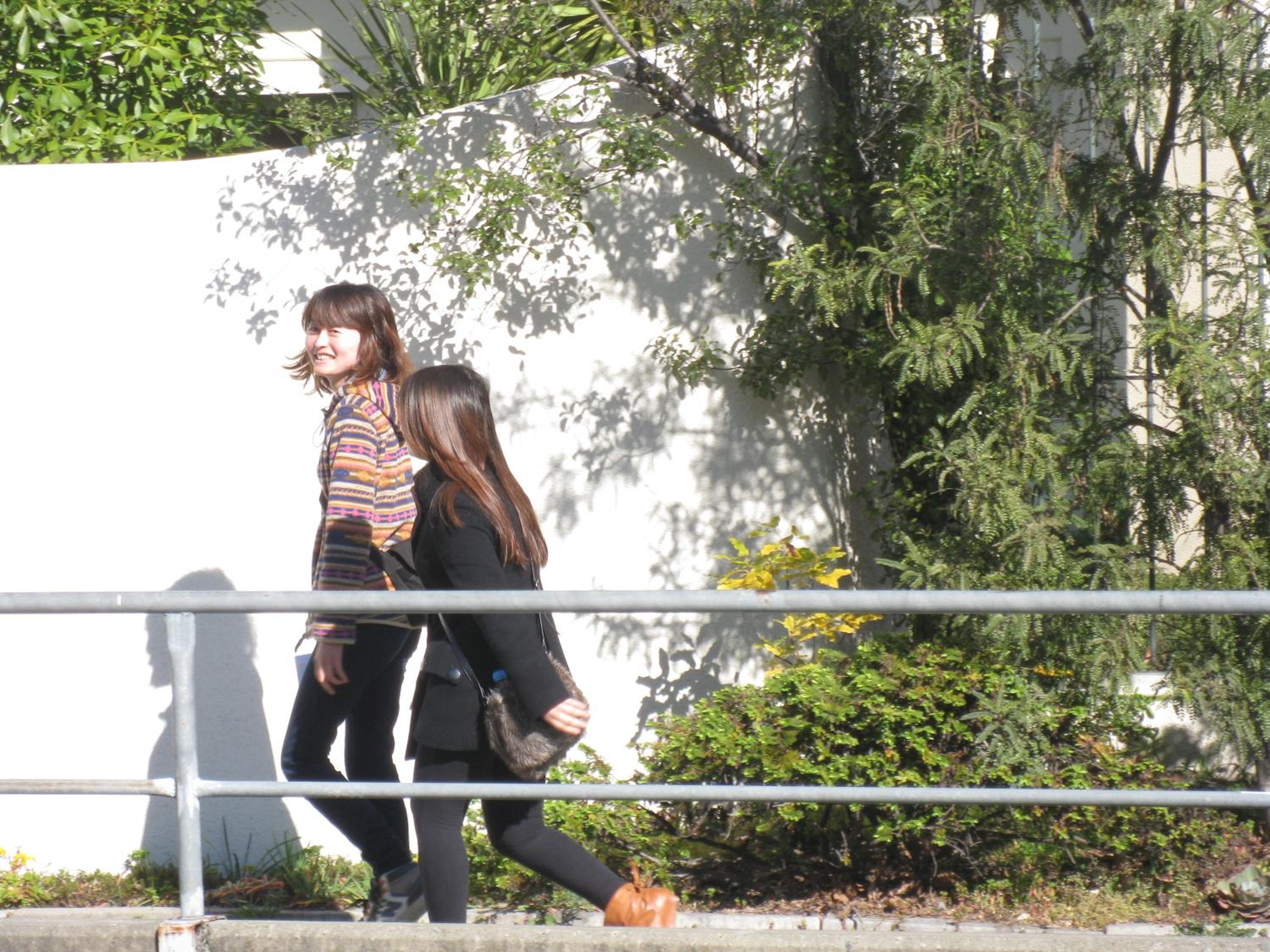 Photo 43