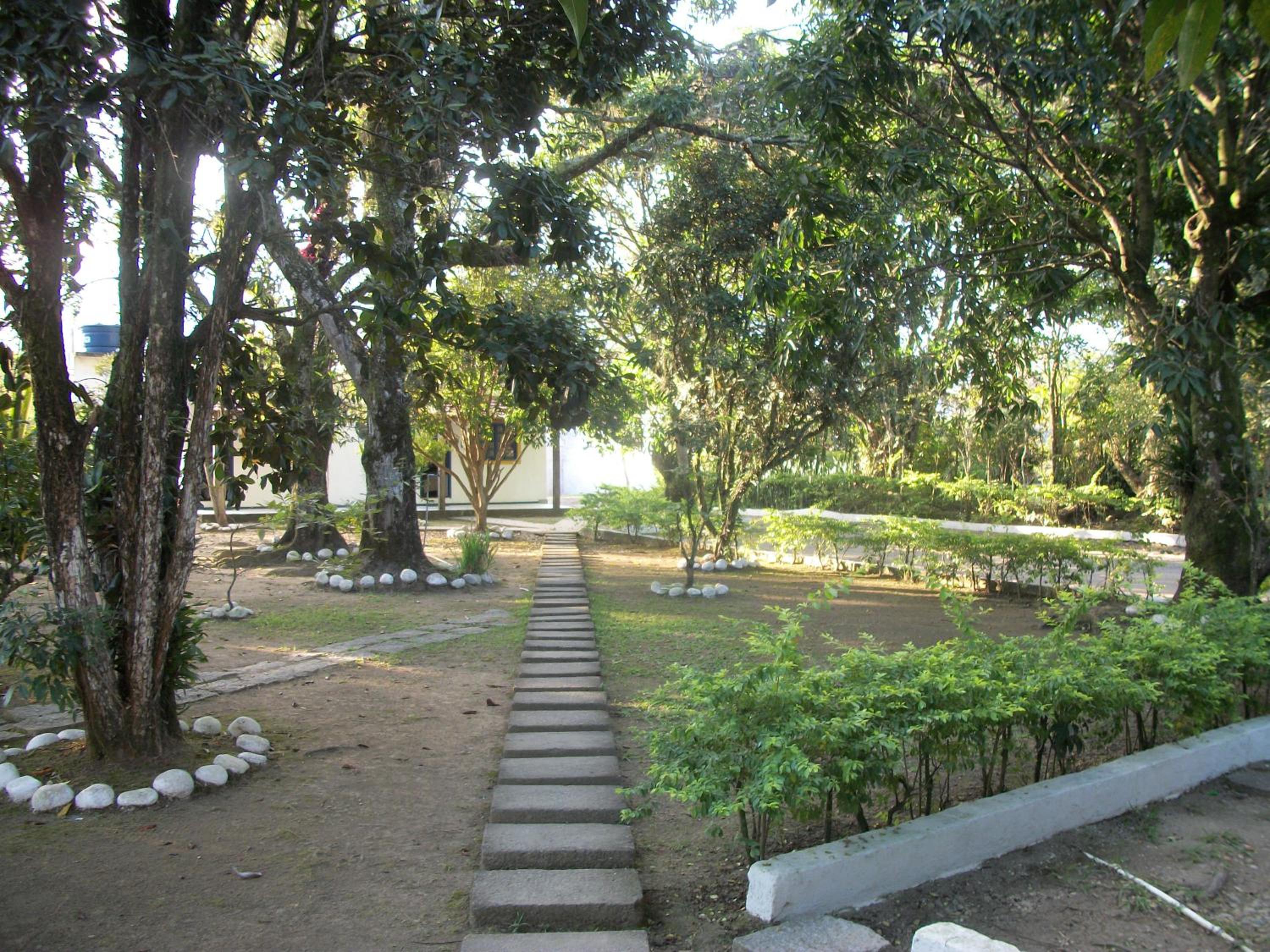 Photo 41