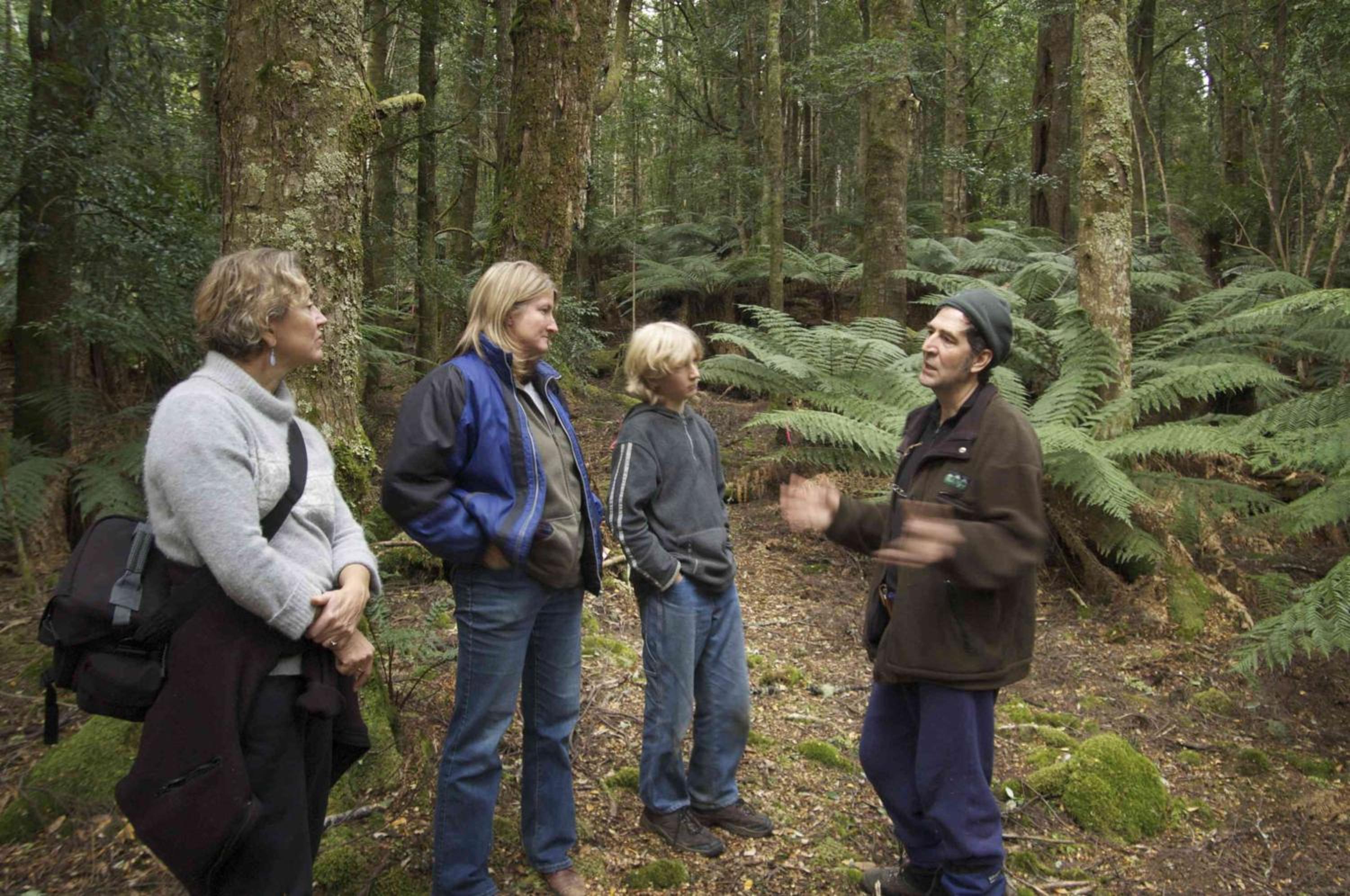 Forest Walks Lodge