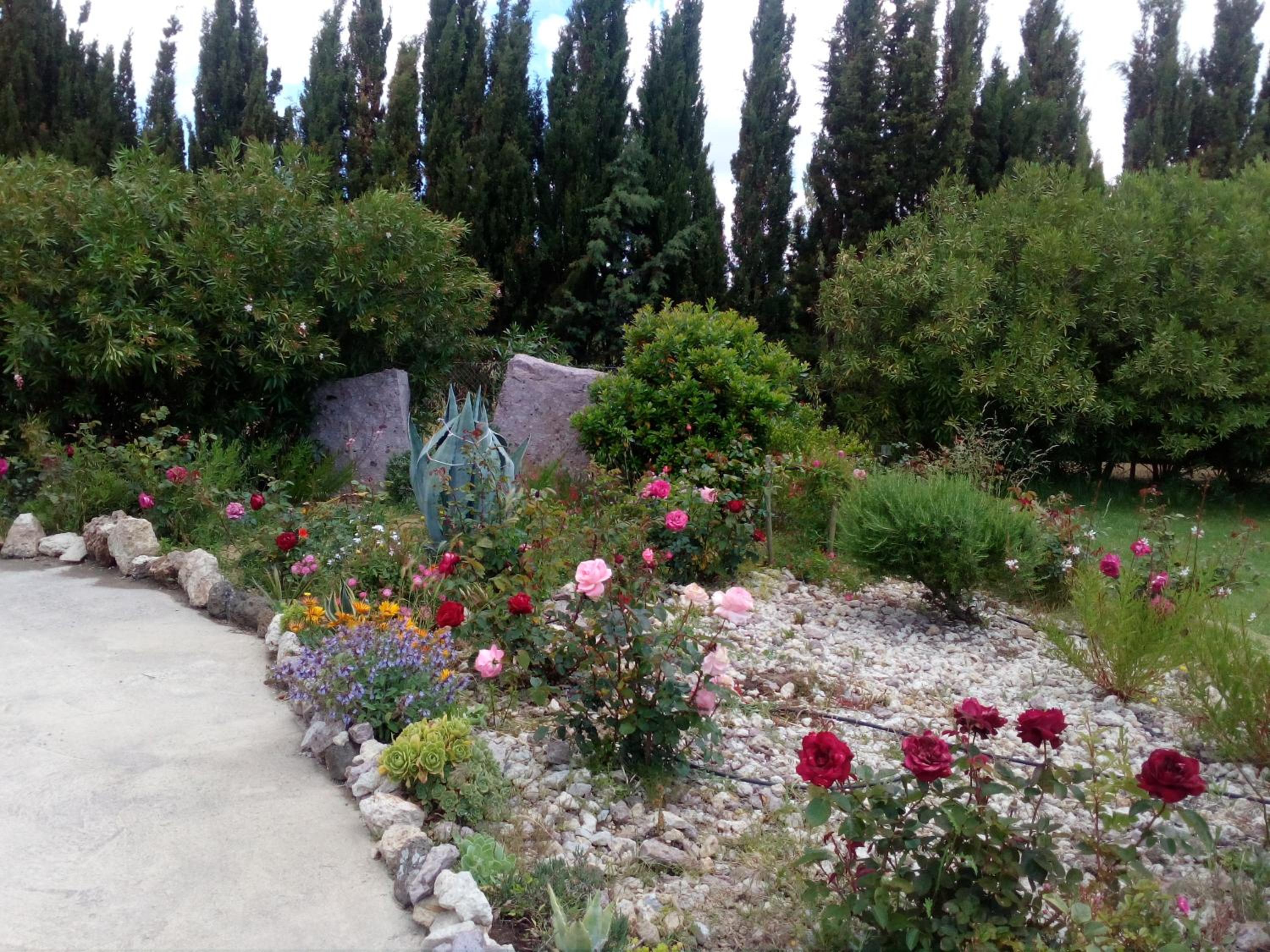 Photo 28
