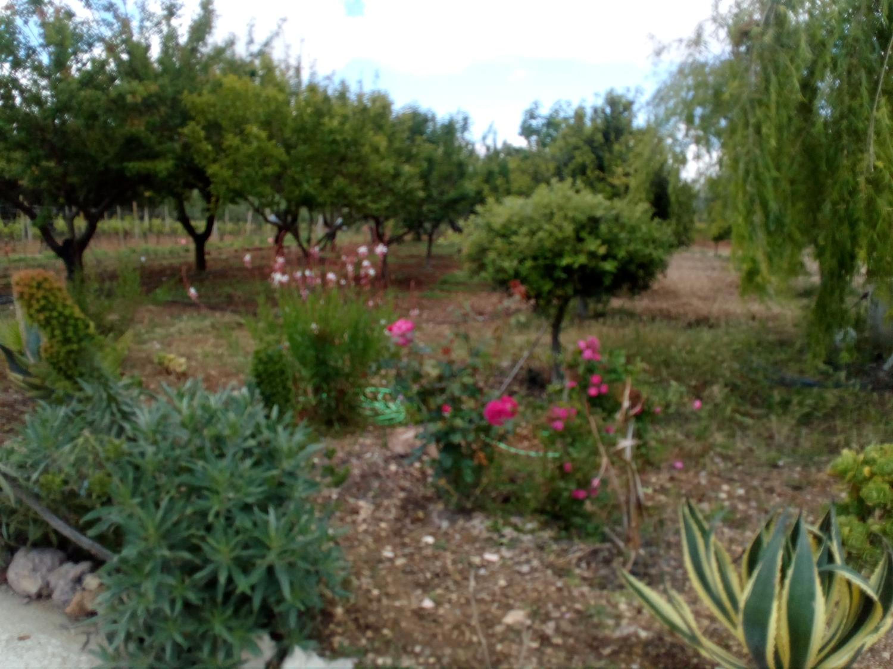 Photo 26