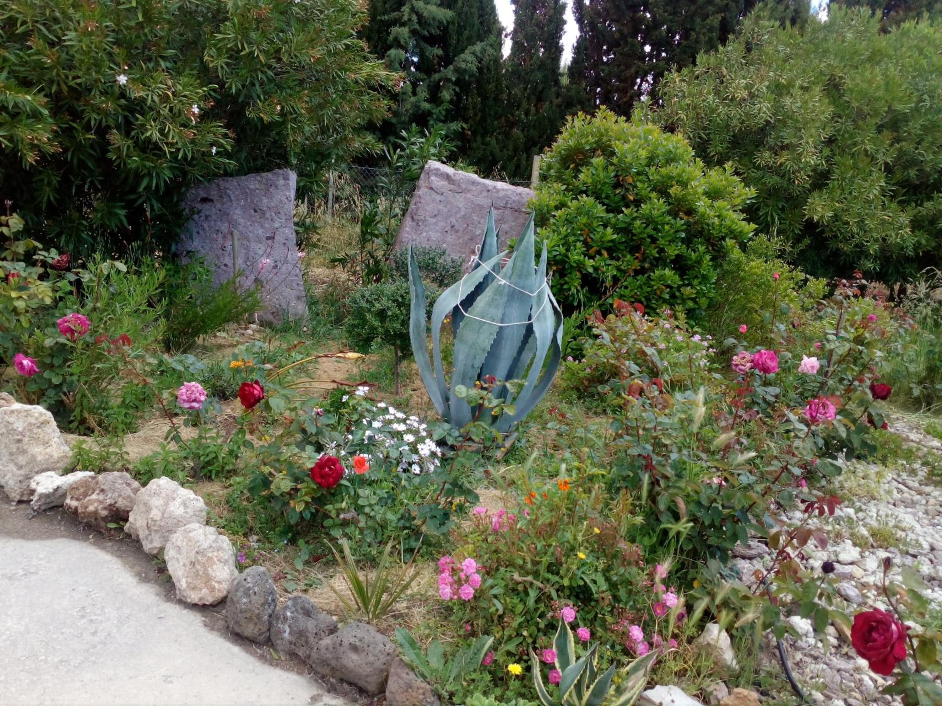 Photo 63