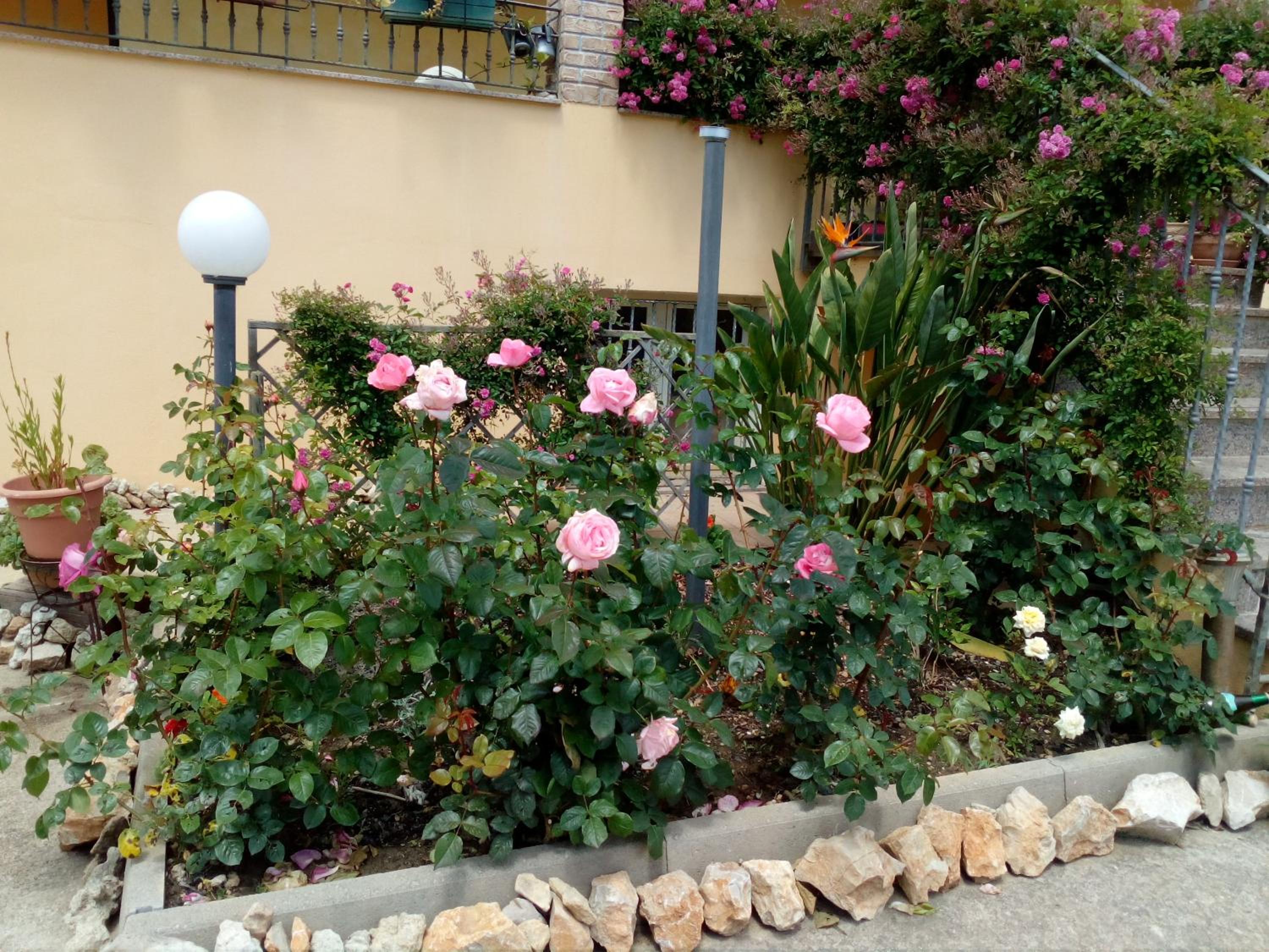 Photo 48