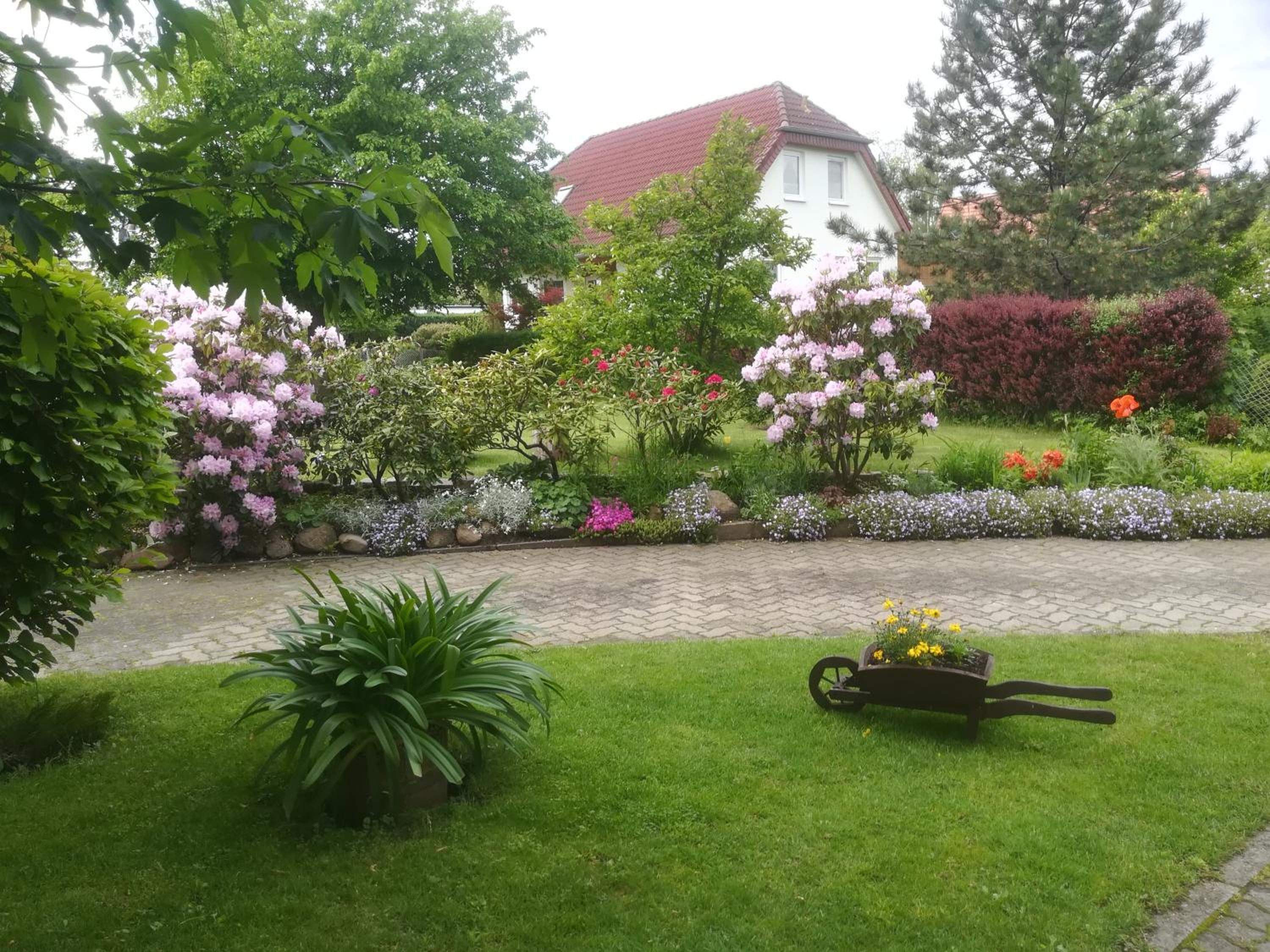 Photo 23