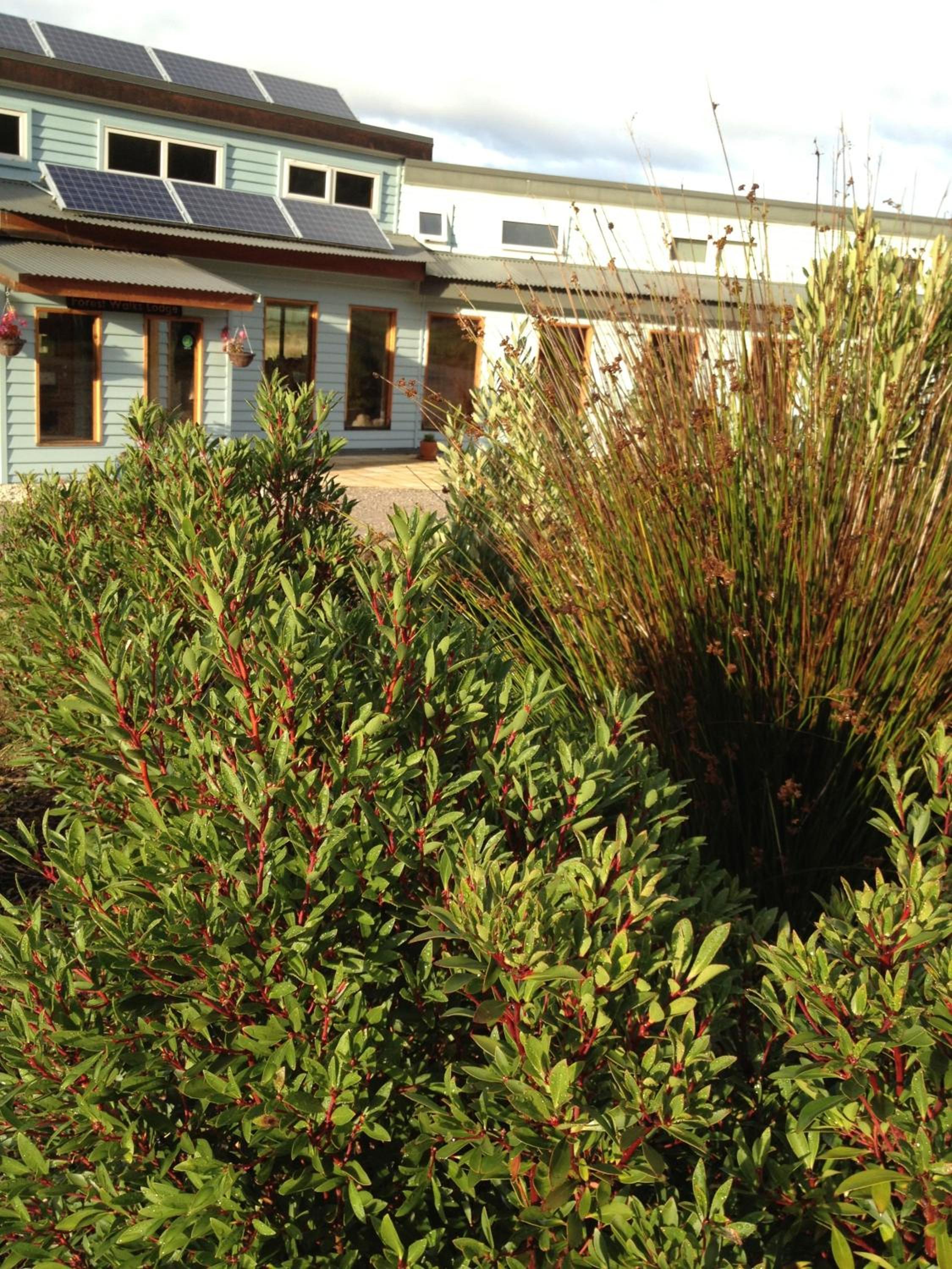 Forest Walks Lodge
