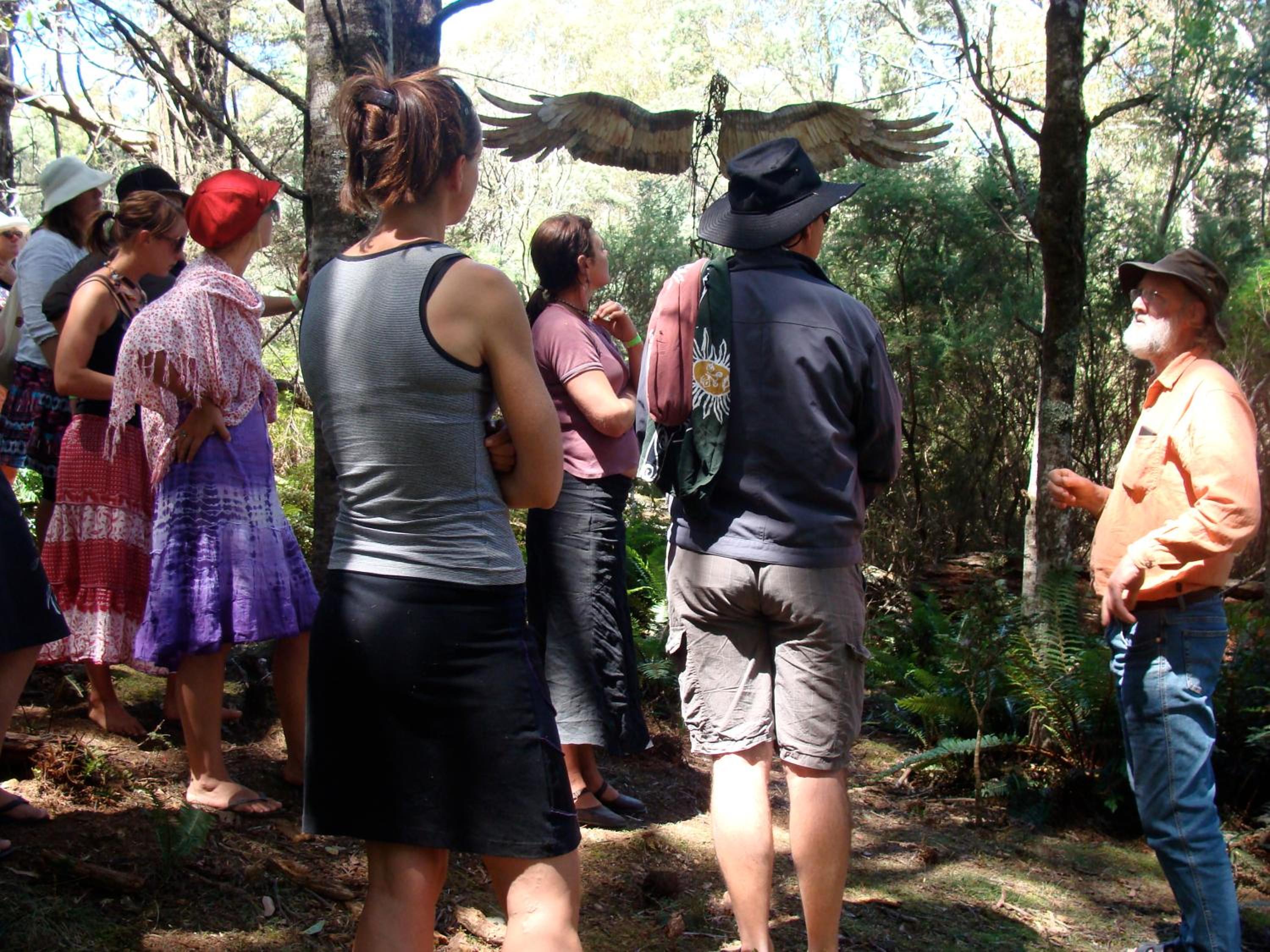 Forest Walks Lodge