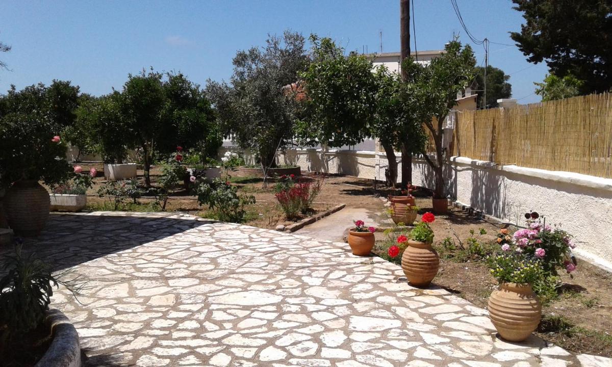 Lemon Garden photo 2