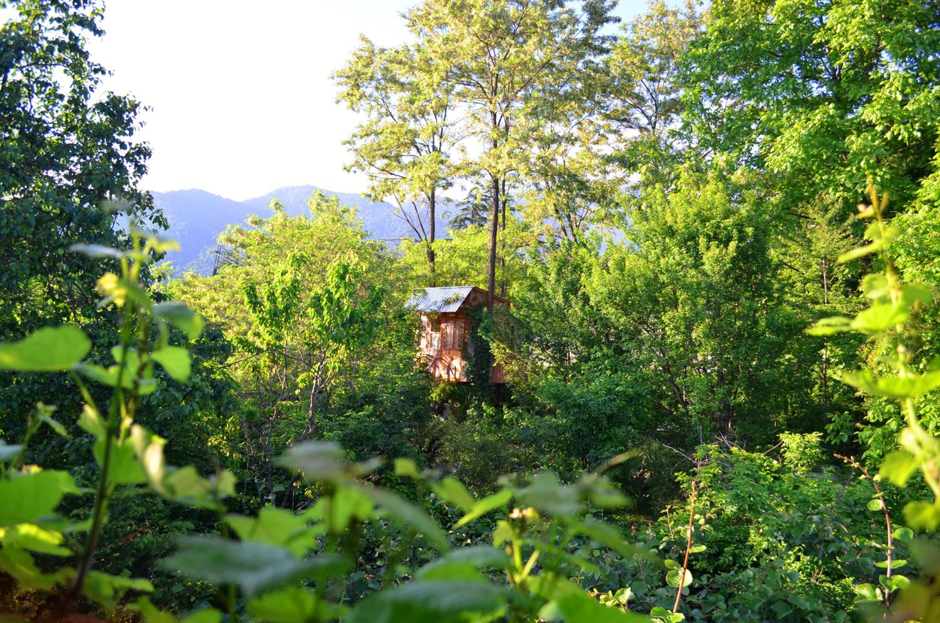 Robinson Crusoe