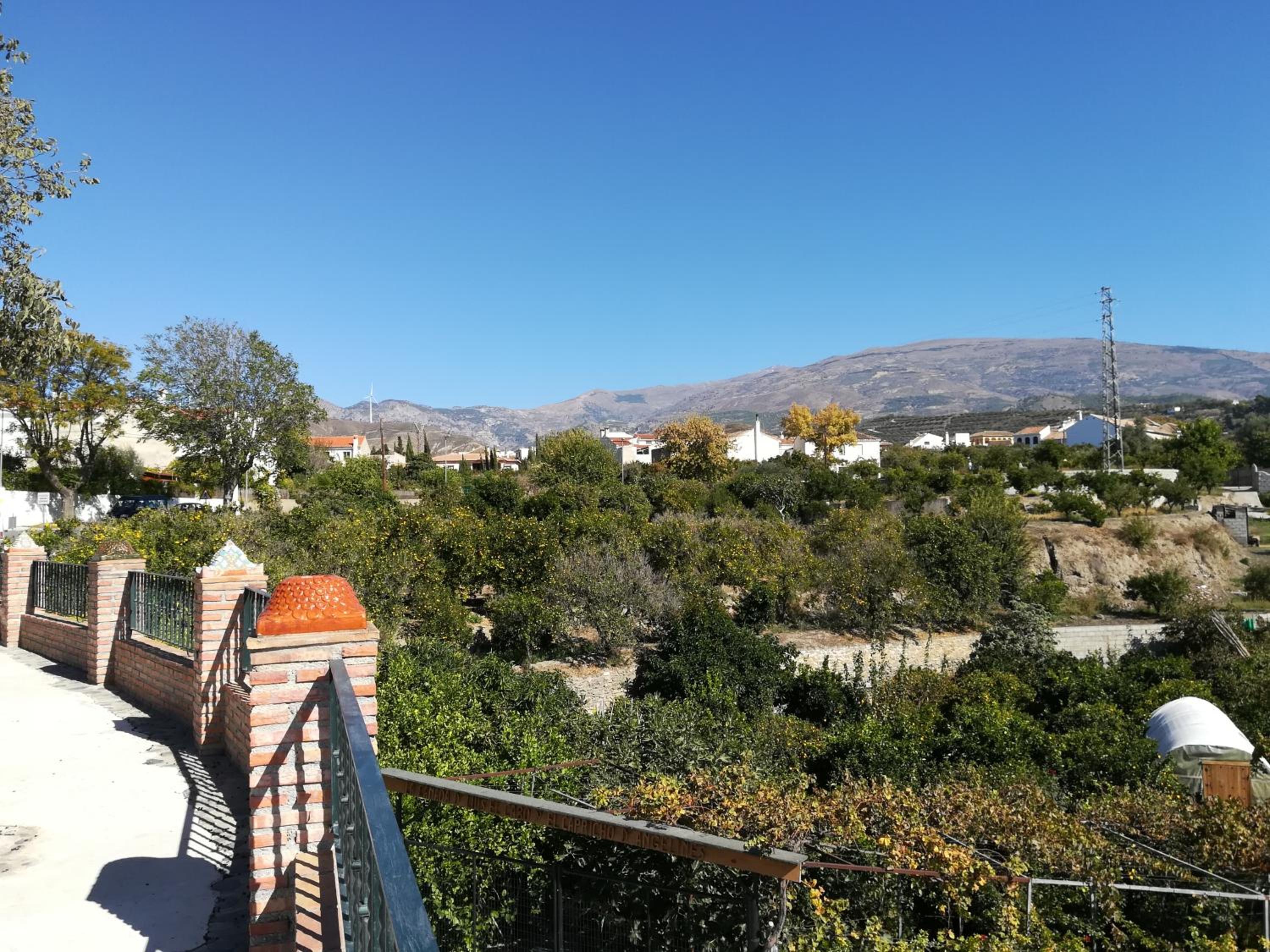 Hostal y Apartamento Rural Los Naranjos
