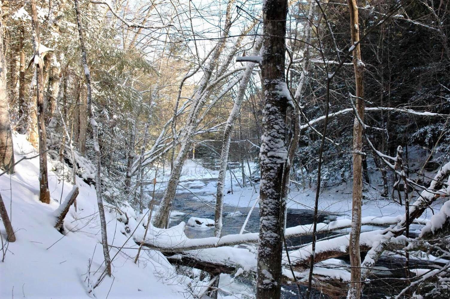 Boisé Rivière