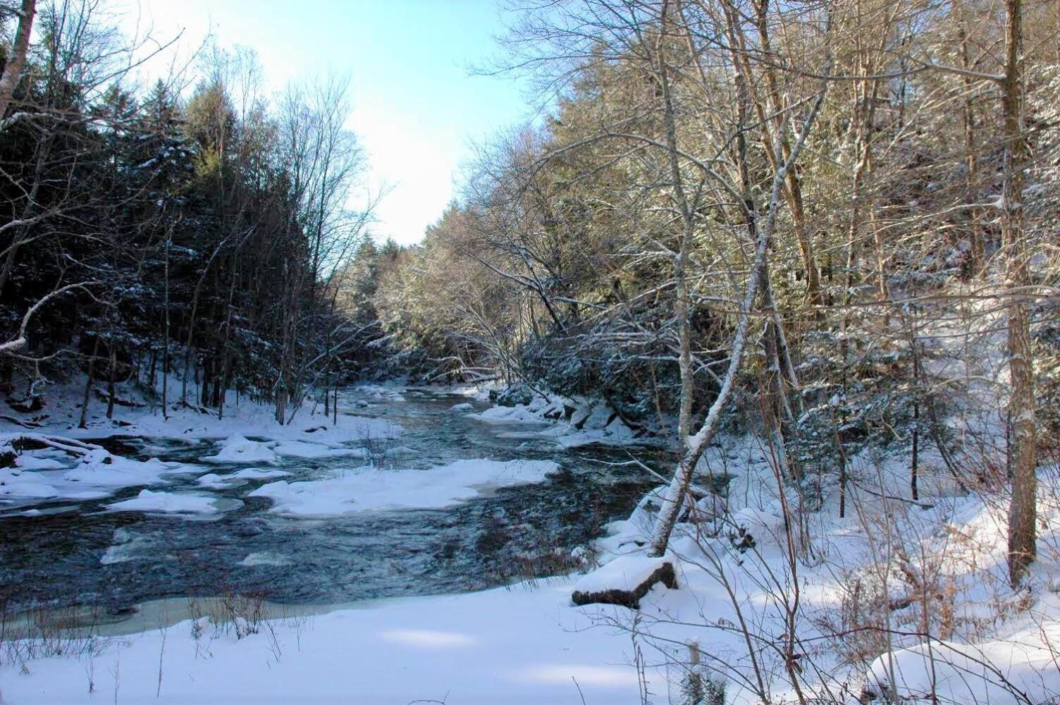 Boisé Rivière