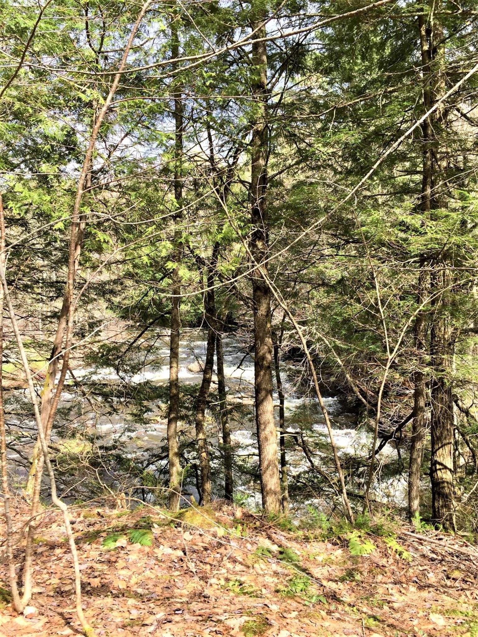 Boisé Rivière