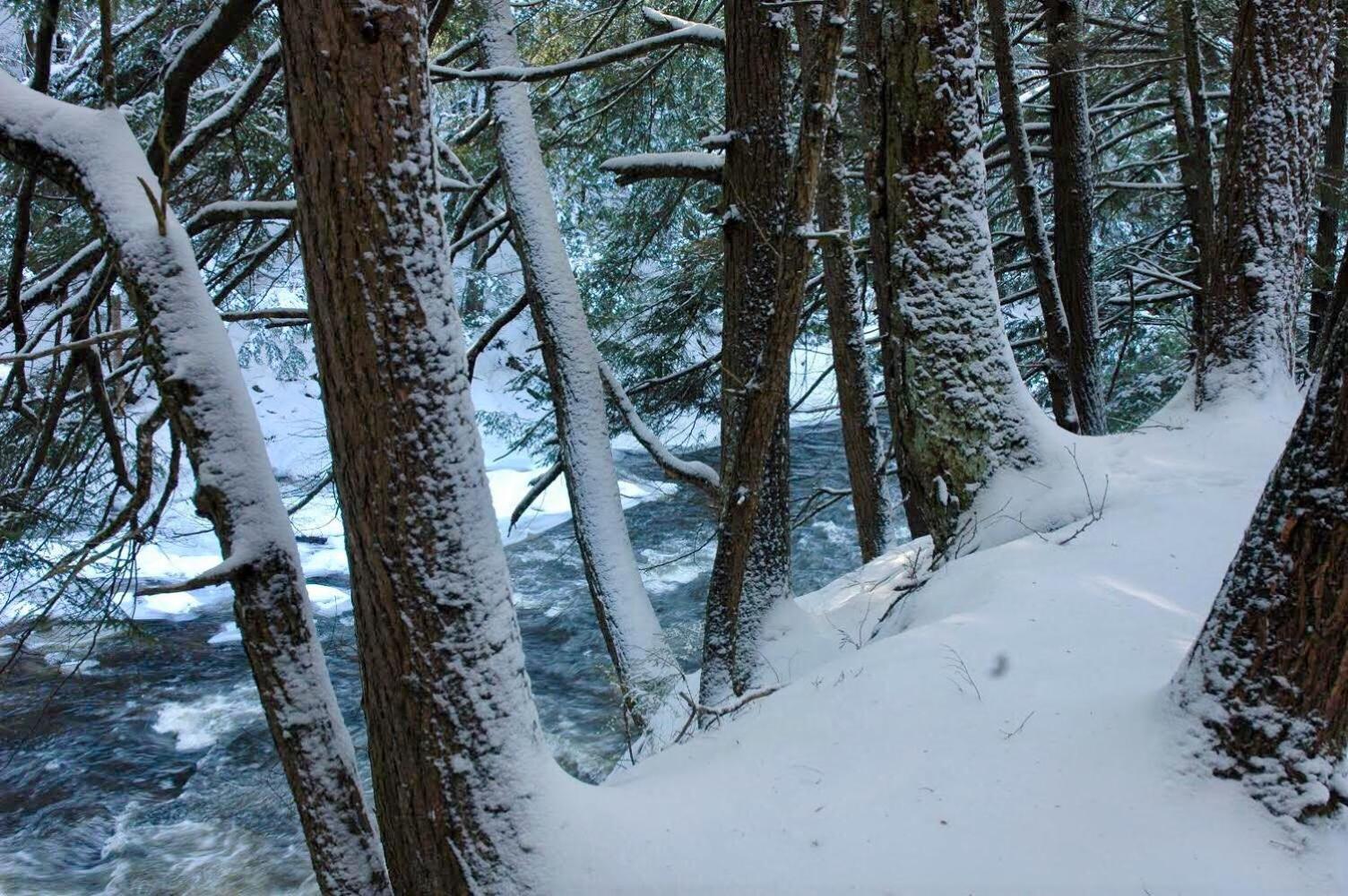 Boisé Rivière
