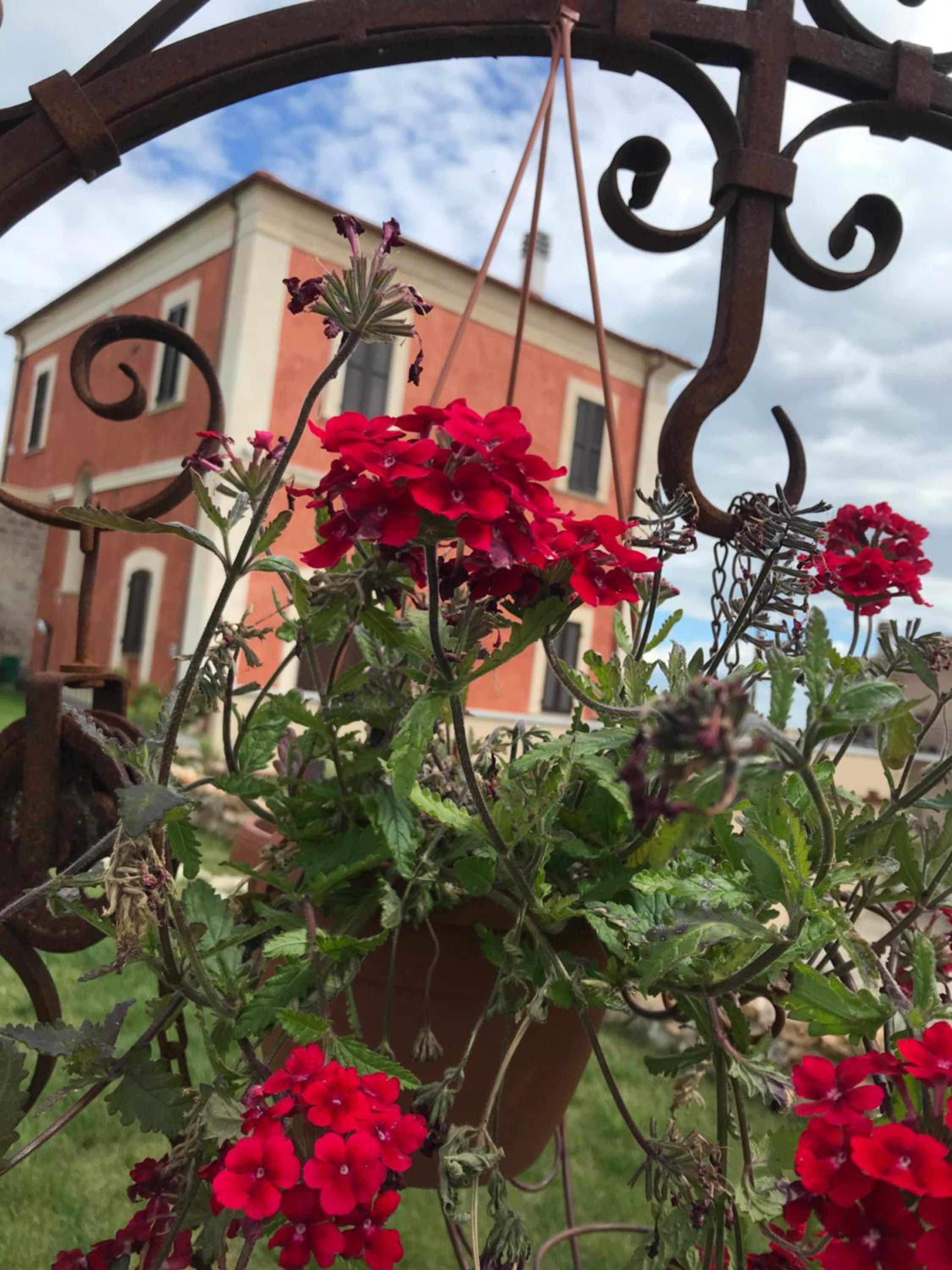 Villa Mascitti B&B Tortoreto Alto