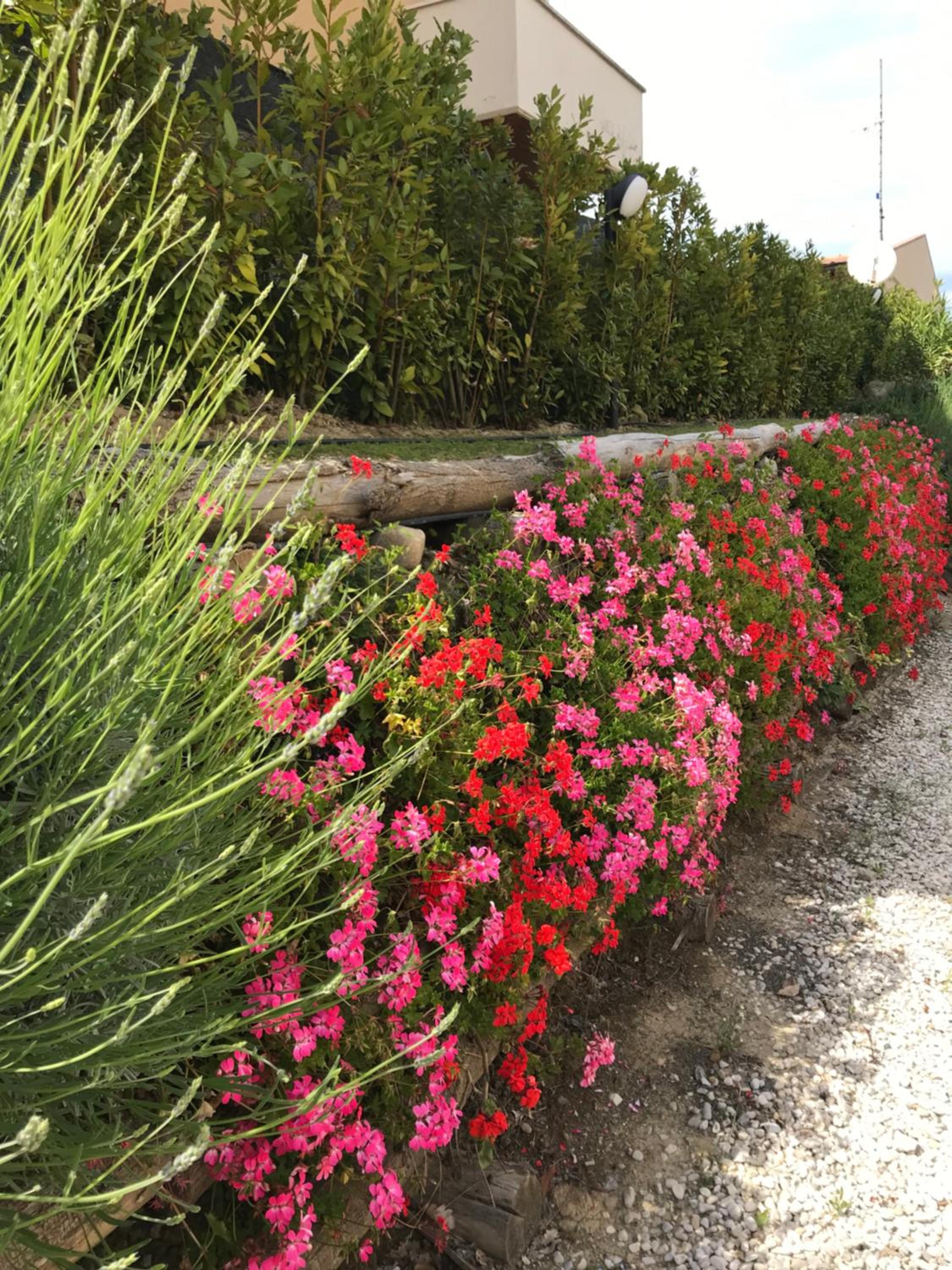 Villa Mascitti B&B Tortoreto Alto