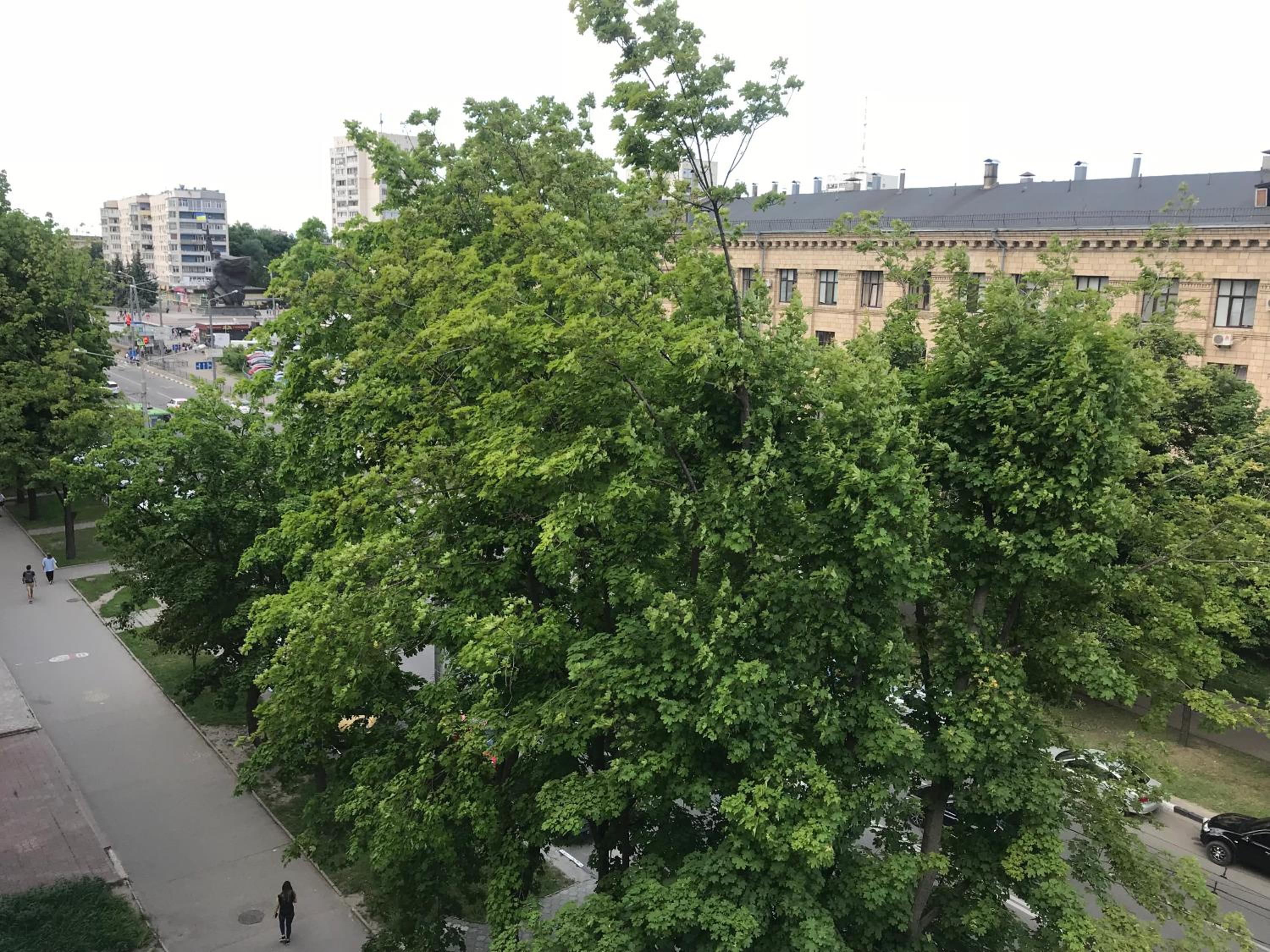 Photo 16