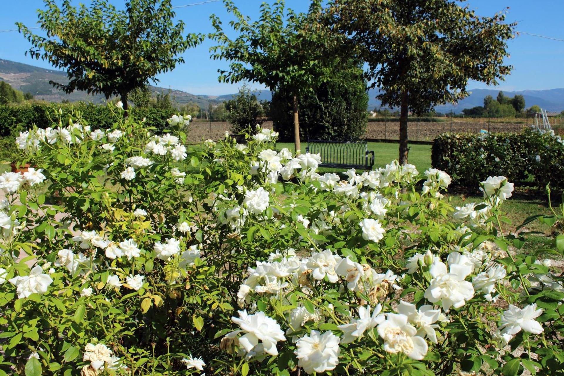 Agriturismo Il Barco