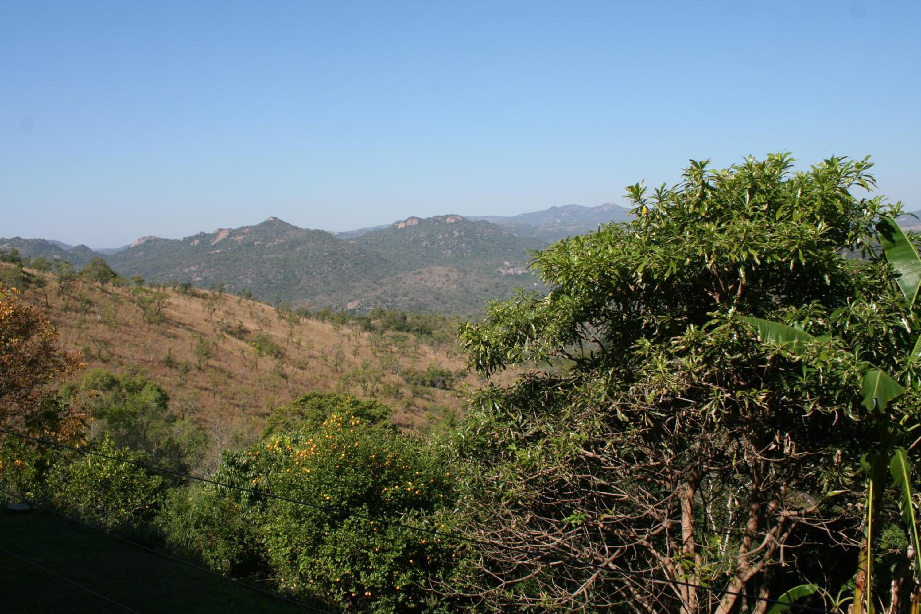 Photo 28