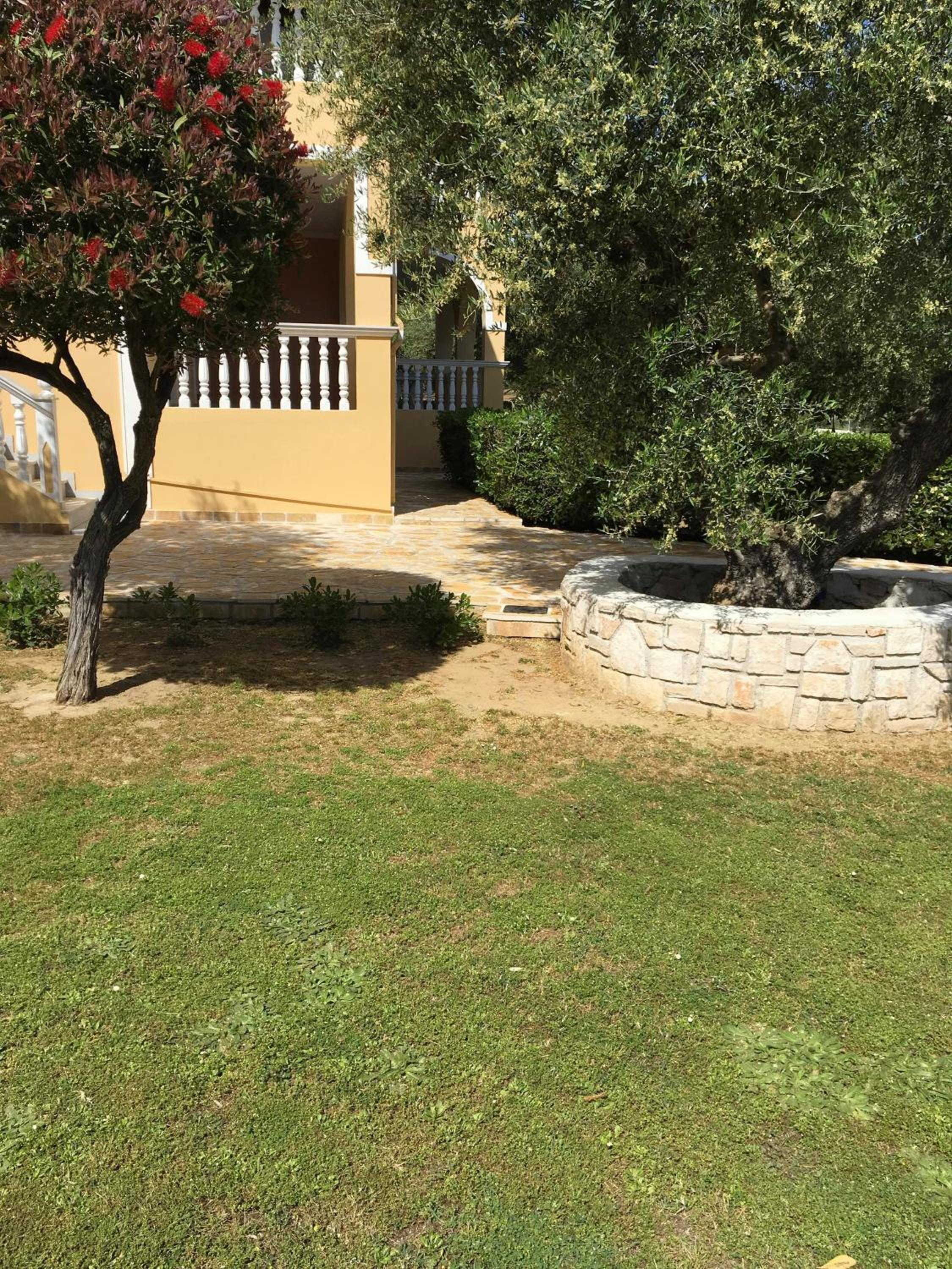 Dimaras Apartments photo 4