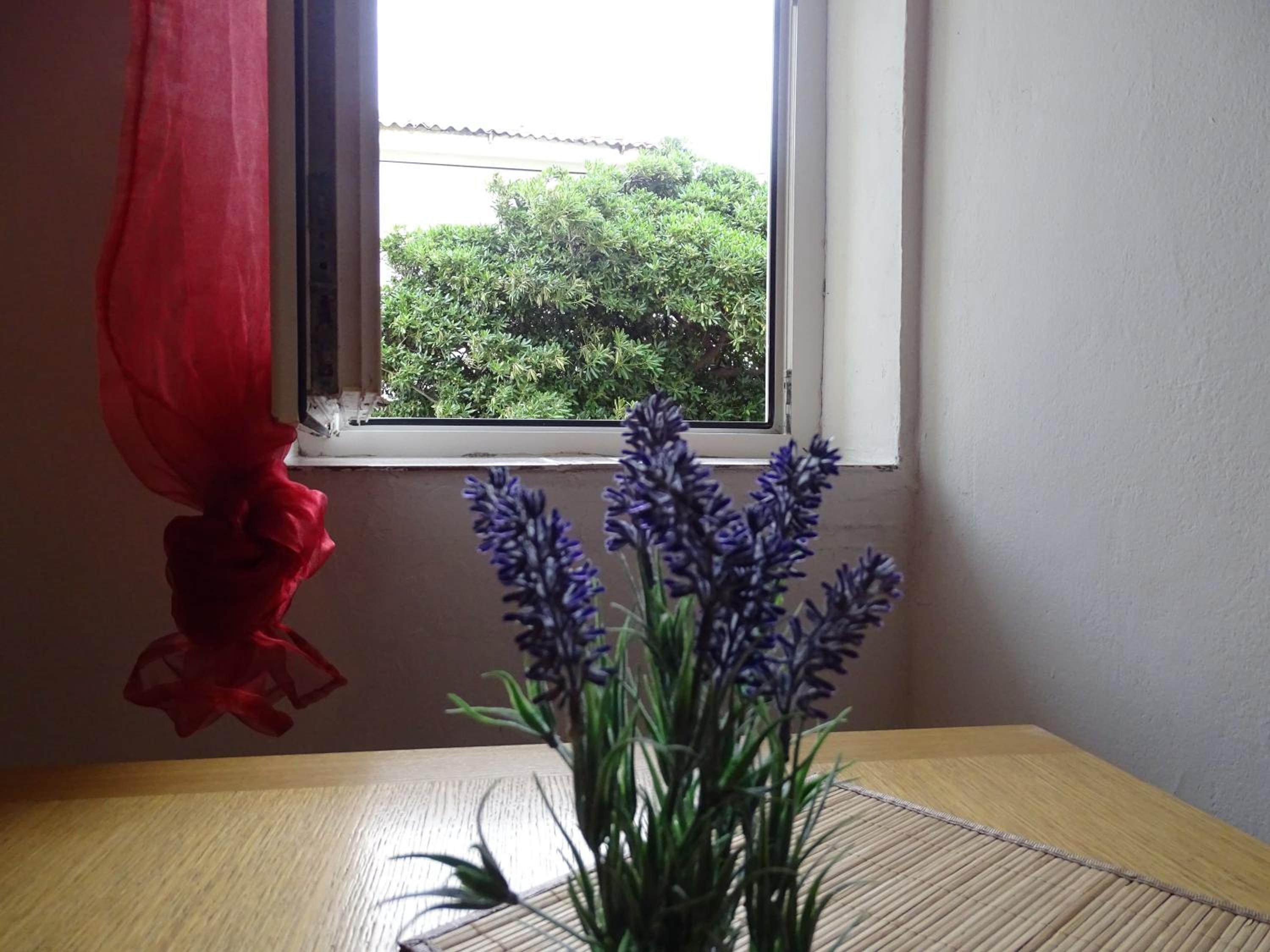 Photo 58