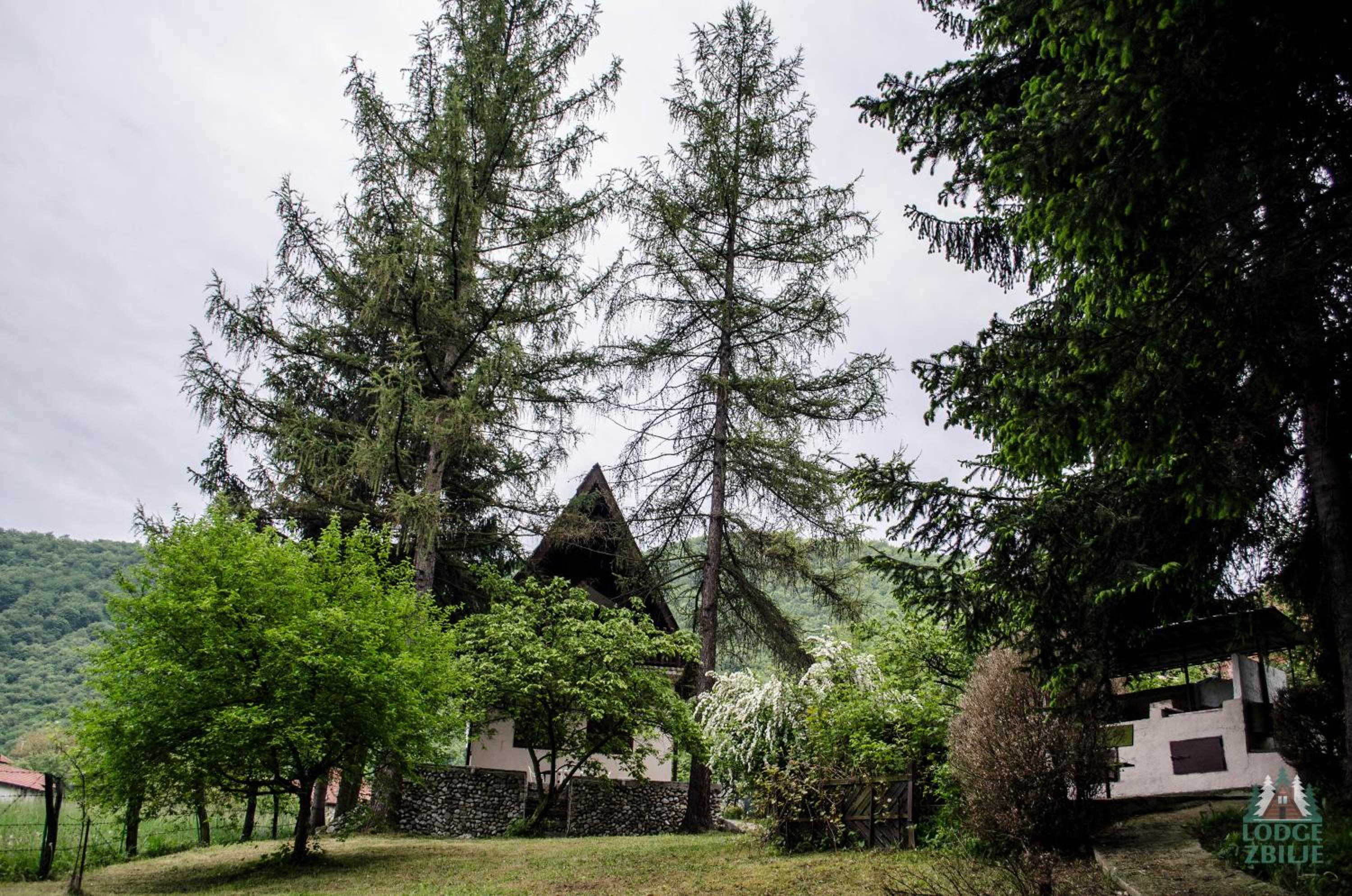 Photo 45