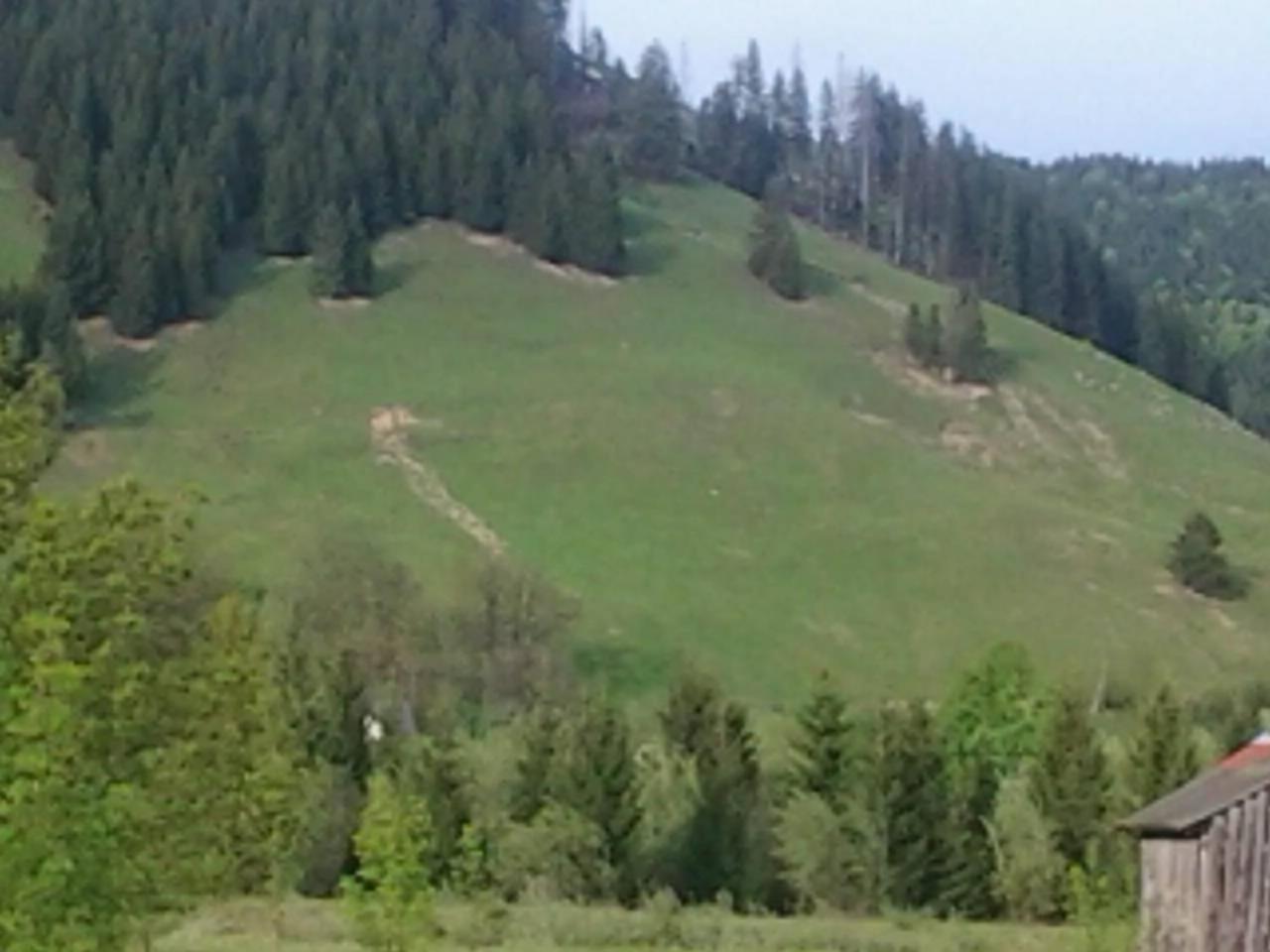 Photo 35