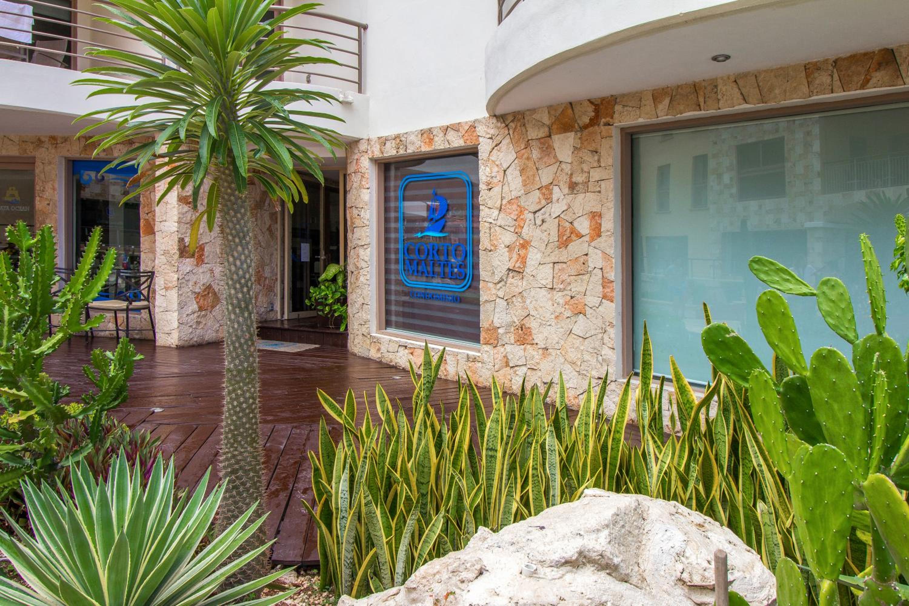 Corto Maltes 205 Ocean Front 2 bdrs Apt view 5