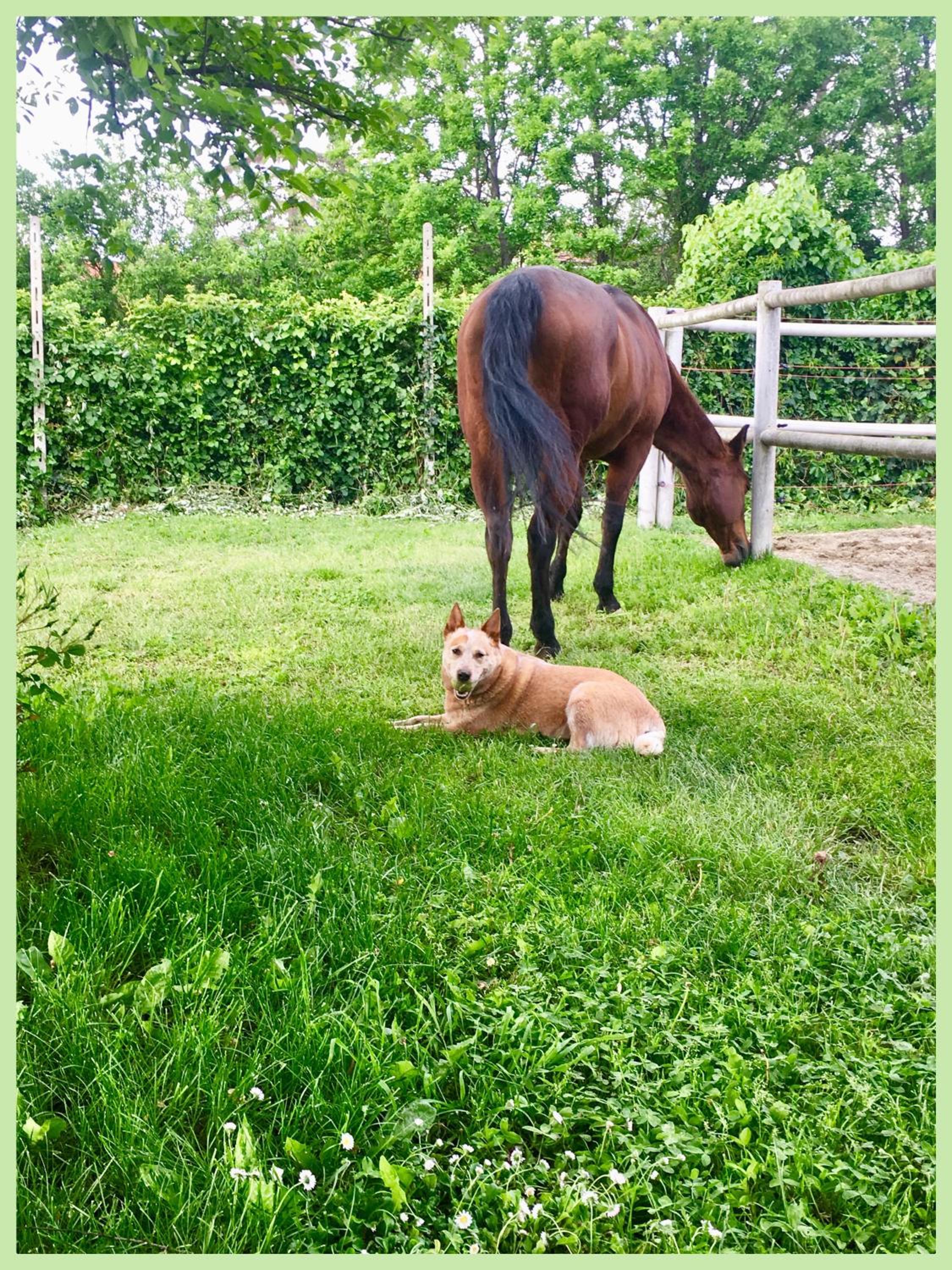 Felix House - Property Image 112