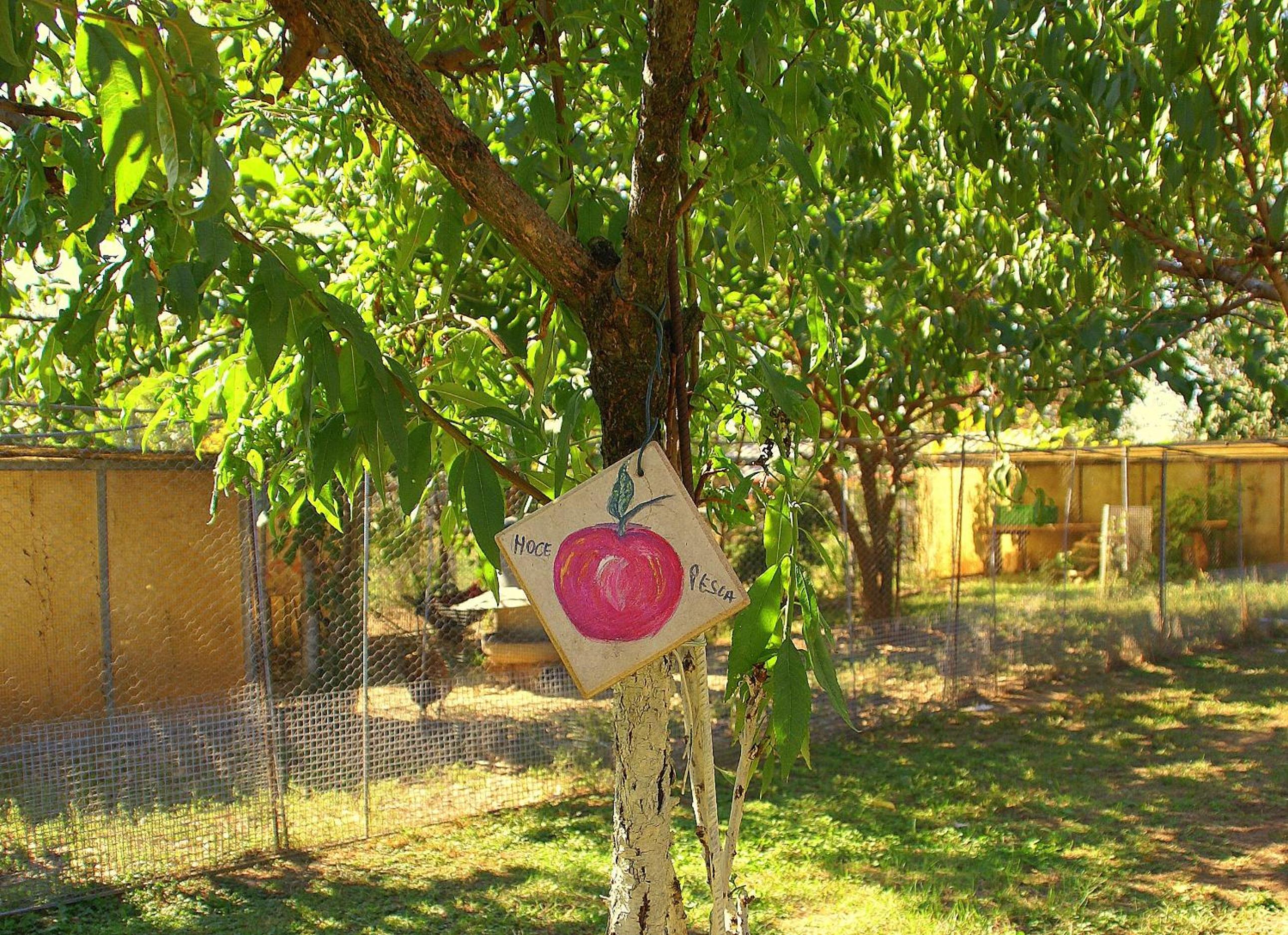 Photo 31