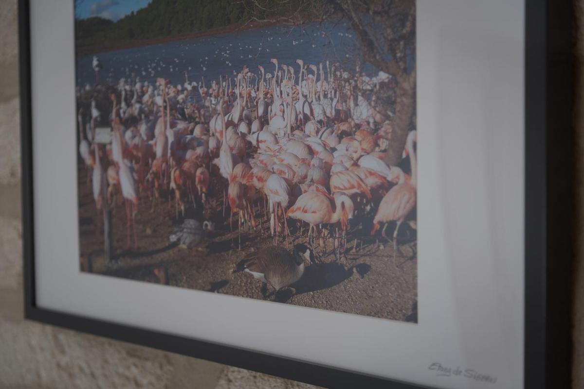 Photo 44