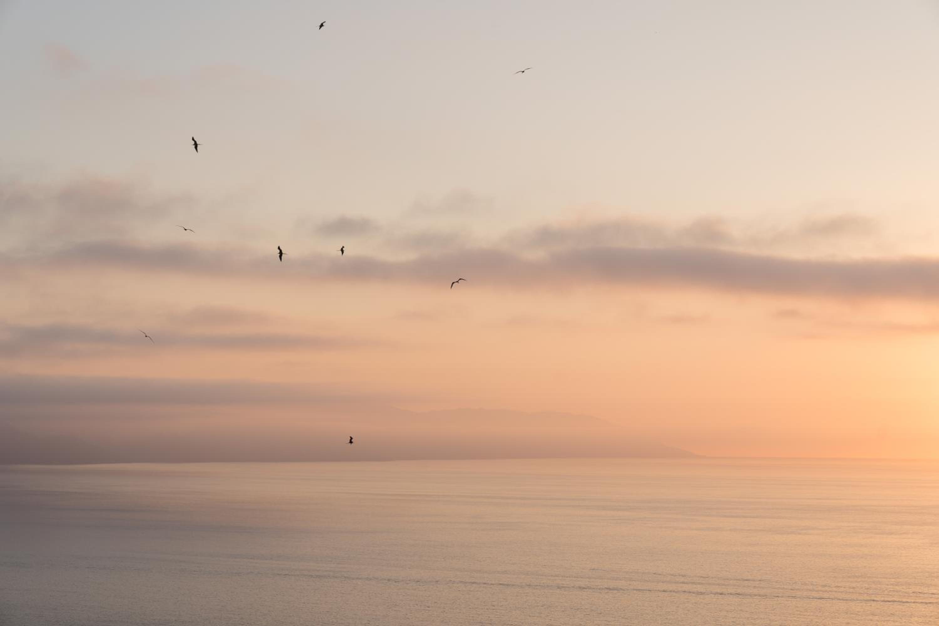 Puerto Vallarta Vacations - Grand Miramar All Luxury Suites  Residences - Property Image 11