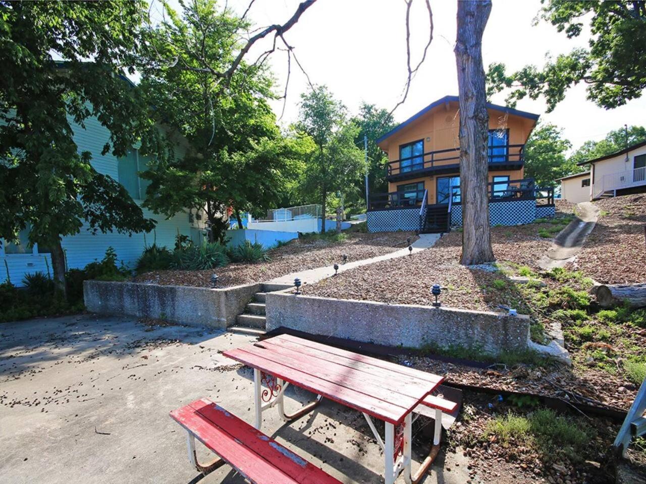 Photo 19