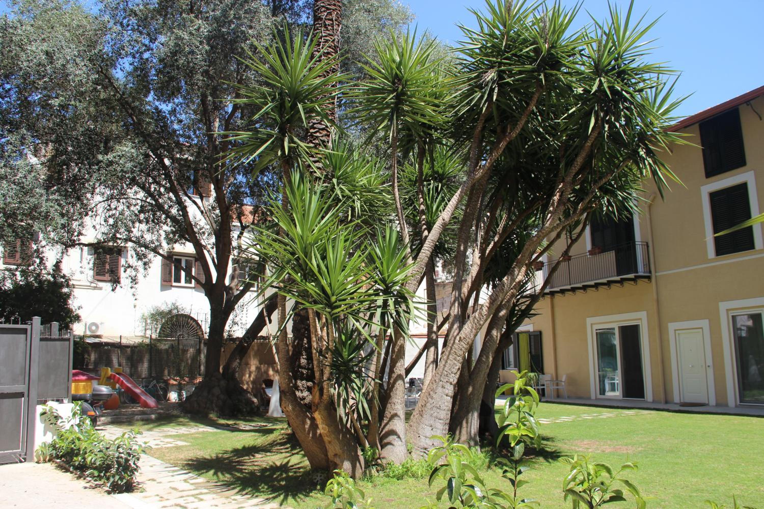 Corte del Merlo view 4