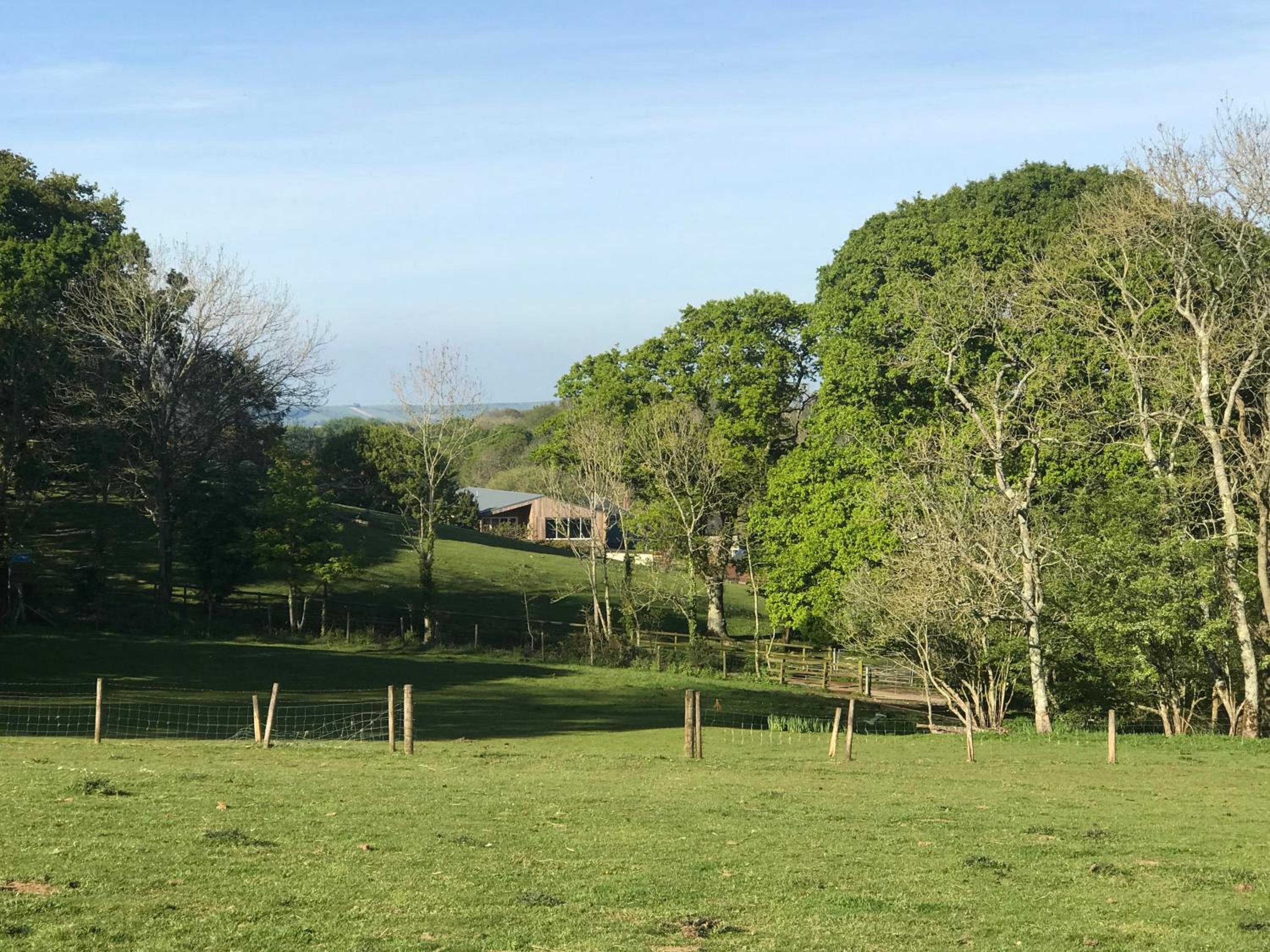 Godshill Park Barn view 4
