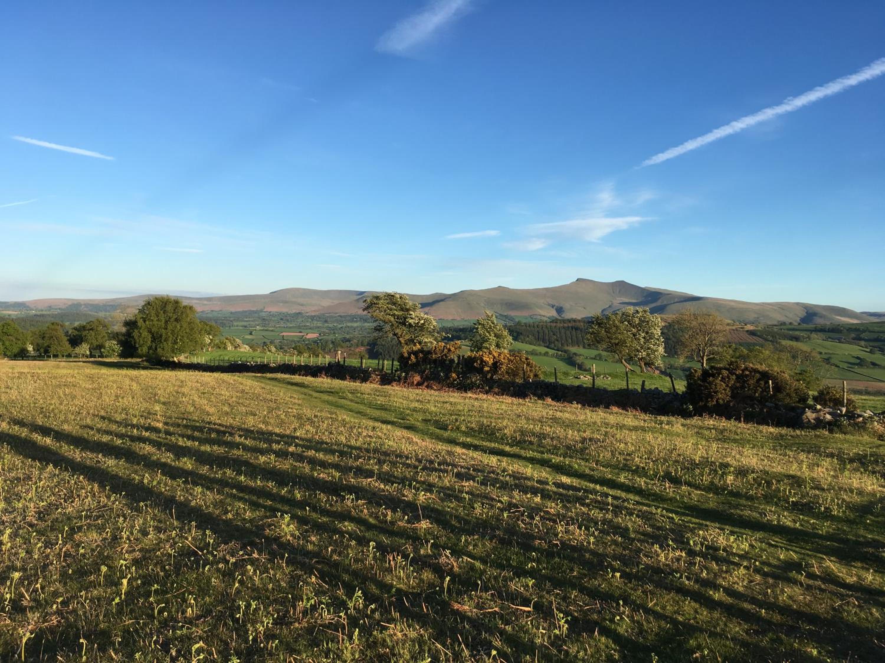 Llwyn Llwyd Cottage view 5