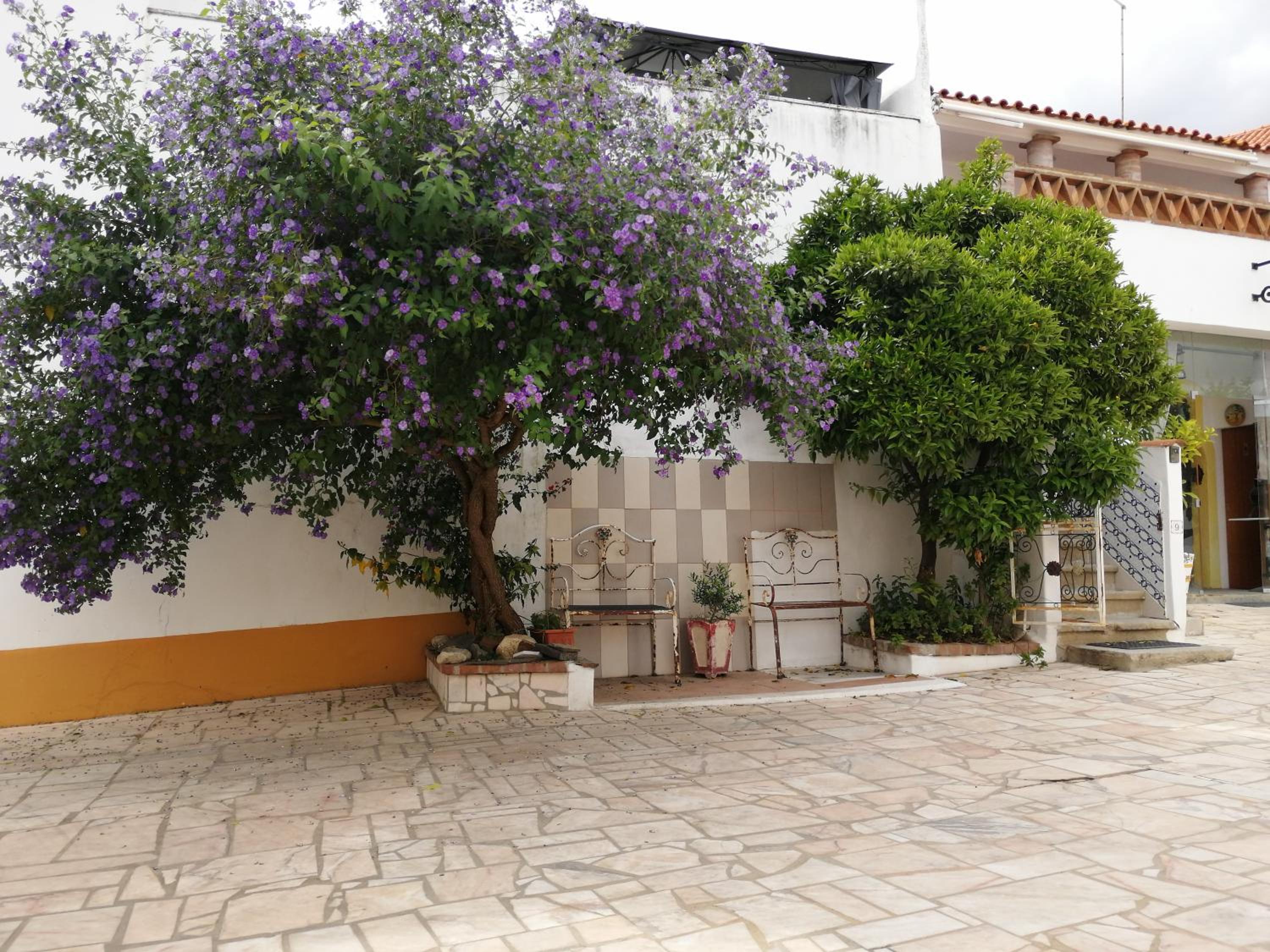 Casa Vitória Guest House