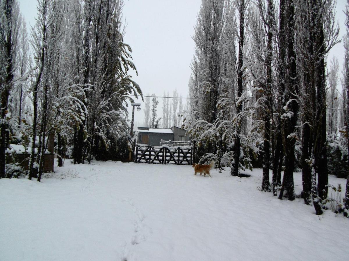 Los Abedules Bungalow