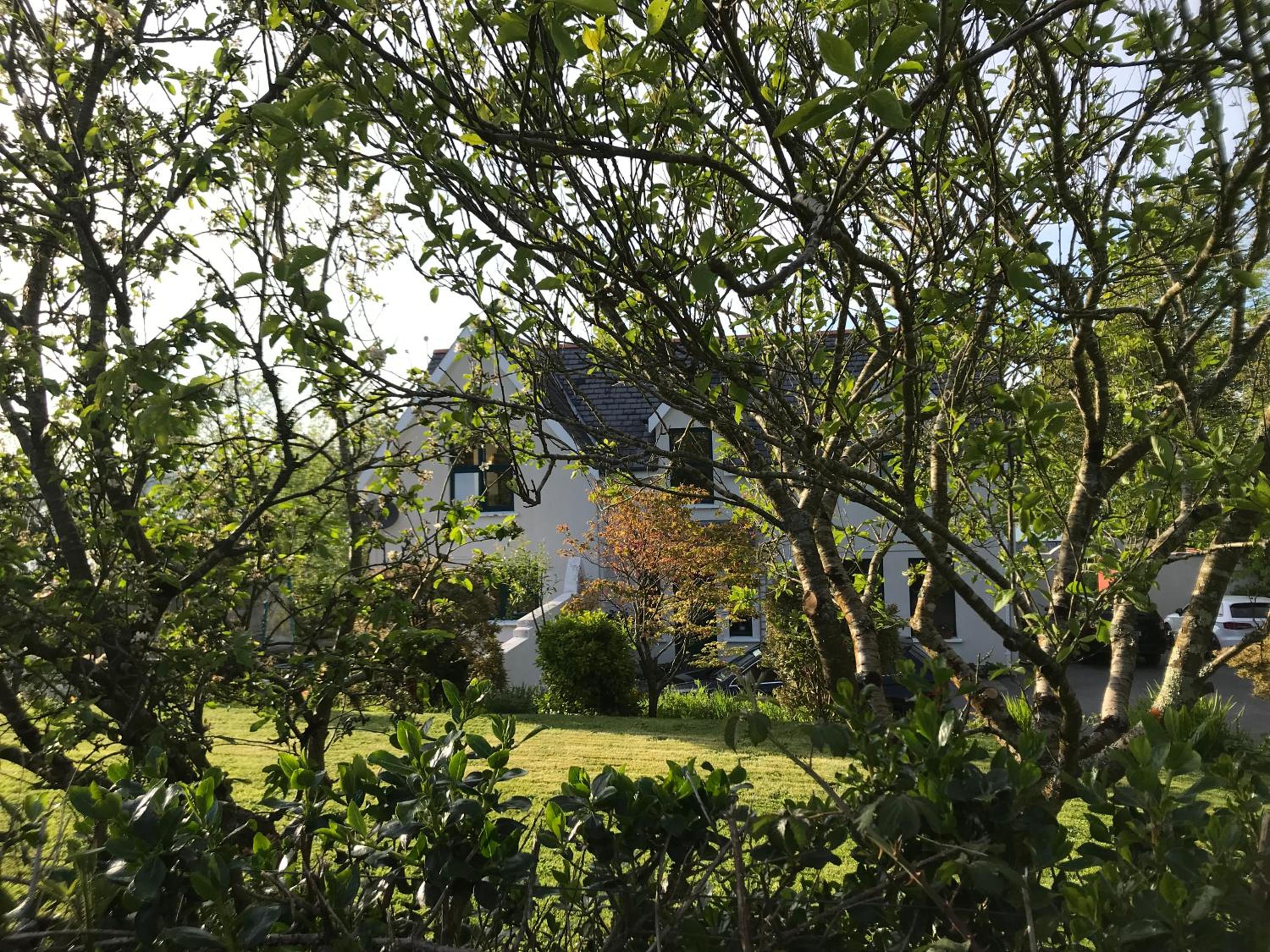 Photo 41