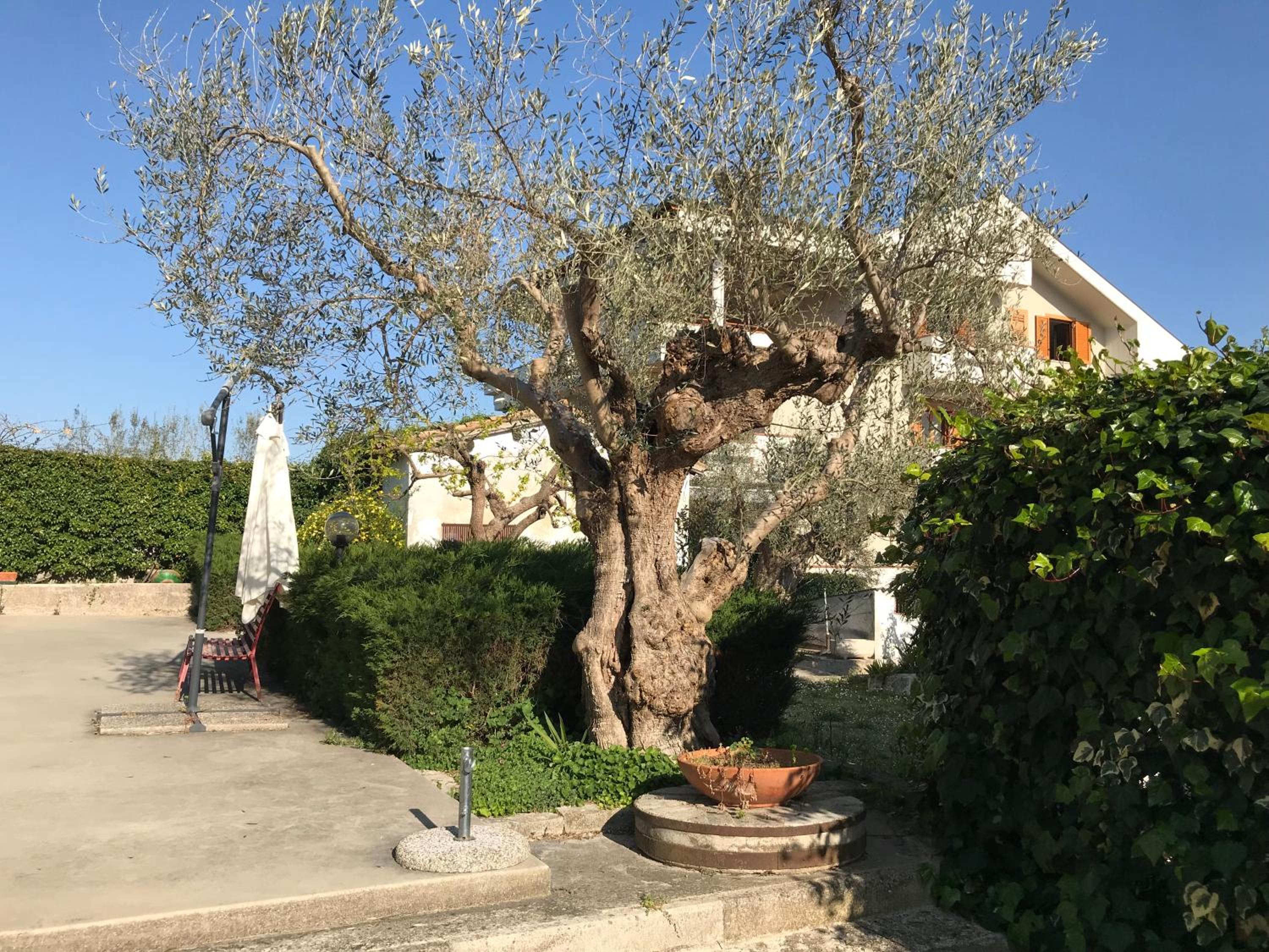 Le sorelle gemelle B&B