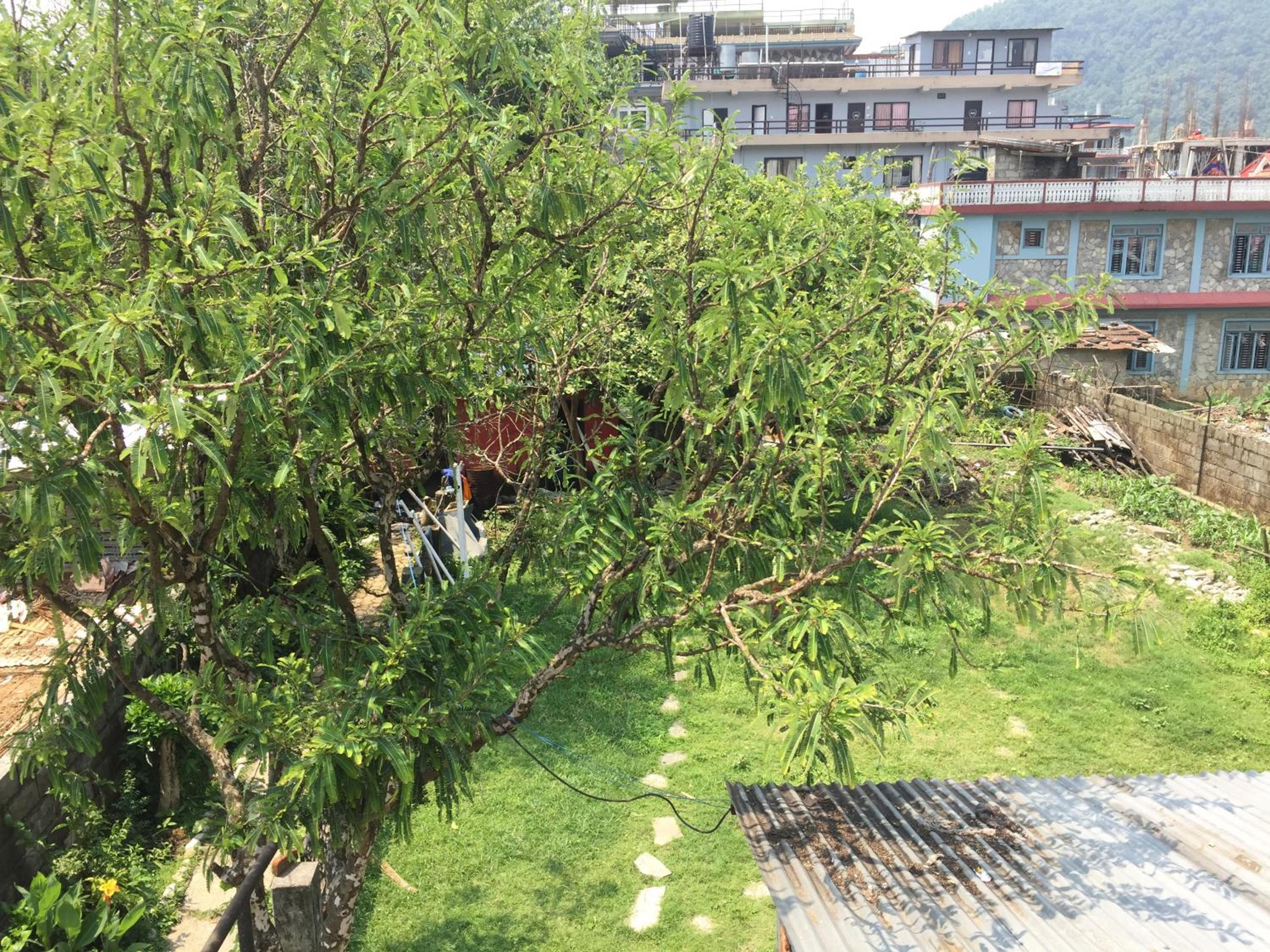 Photo 8