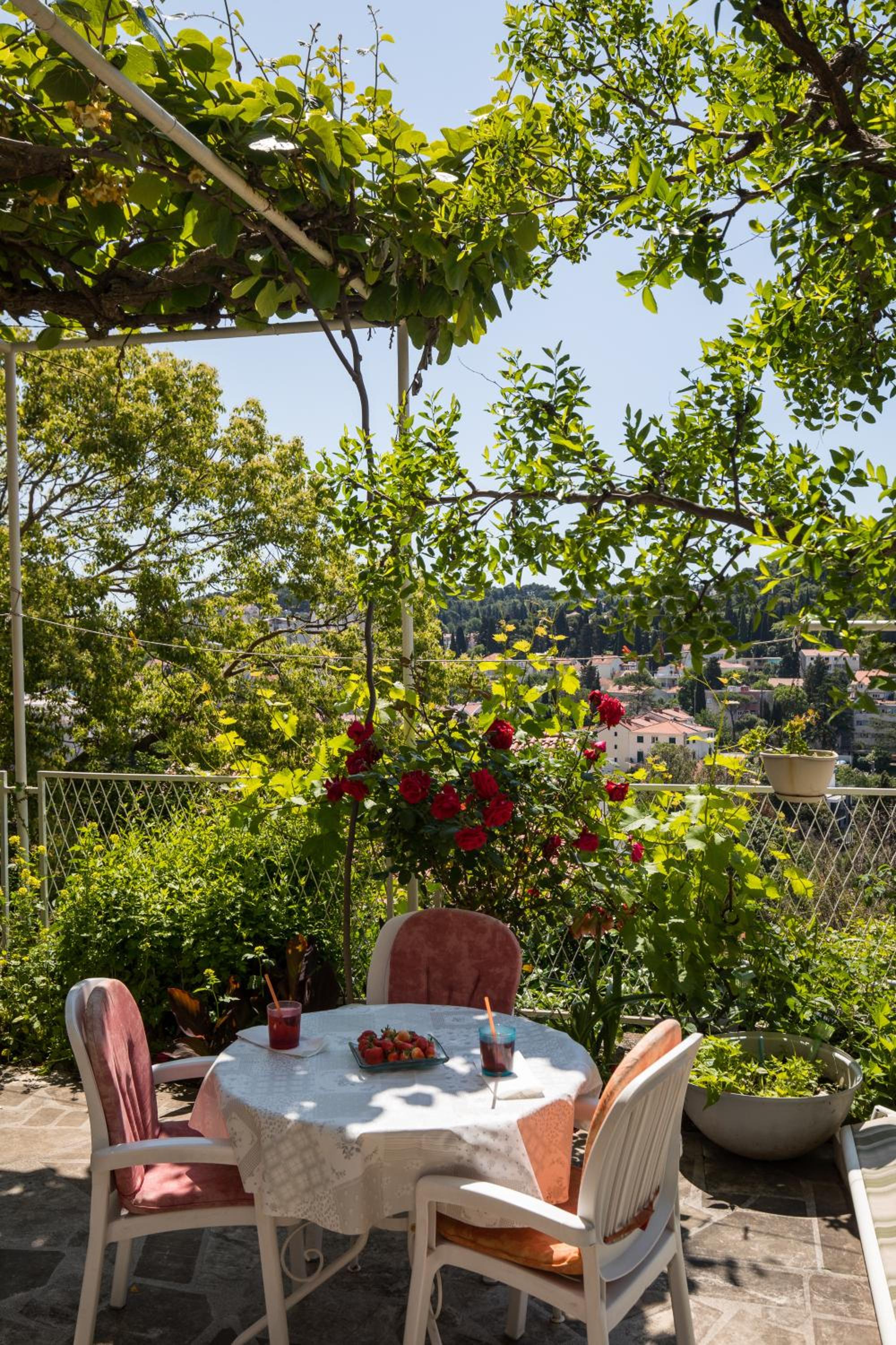 Begović Guest House
