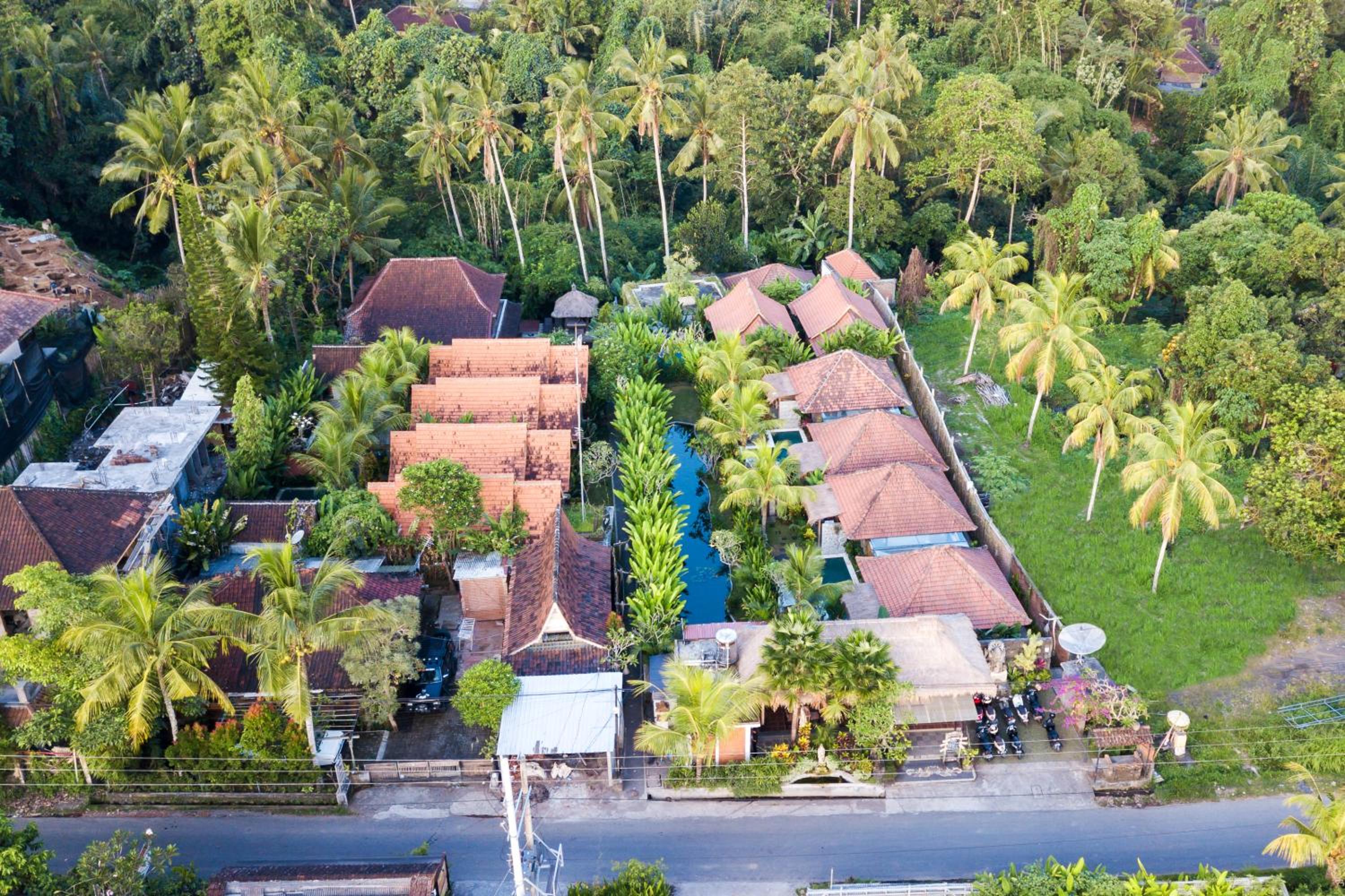 Bije Suite Villa Ubud view 4